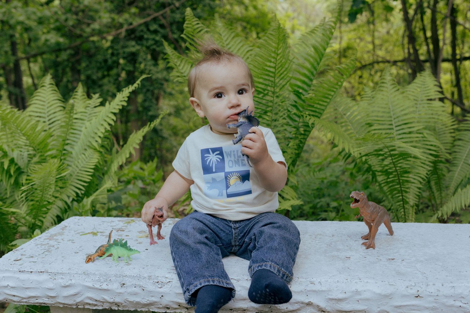 Baby boy in jeans and graphic tee sits on stone bench with dinosaur toys among lush green ferns outdoors. 1st birthday session in Pittsburgh