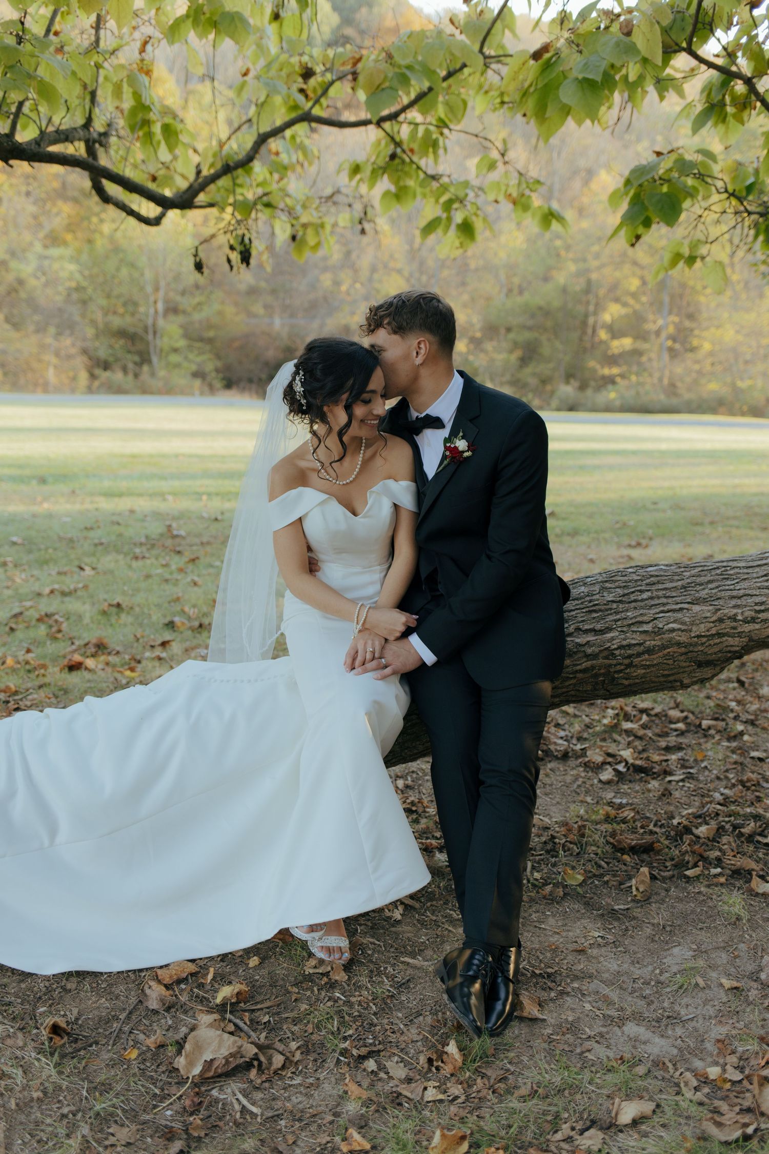 Bride and groom sharing a romantic kiss while seated on a tree branch in an autumn park setting.