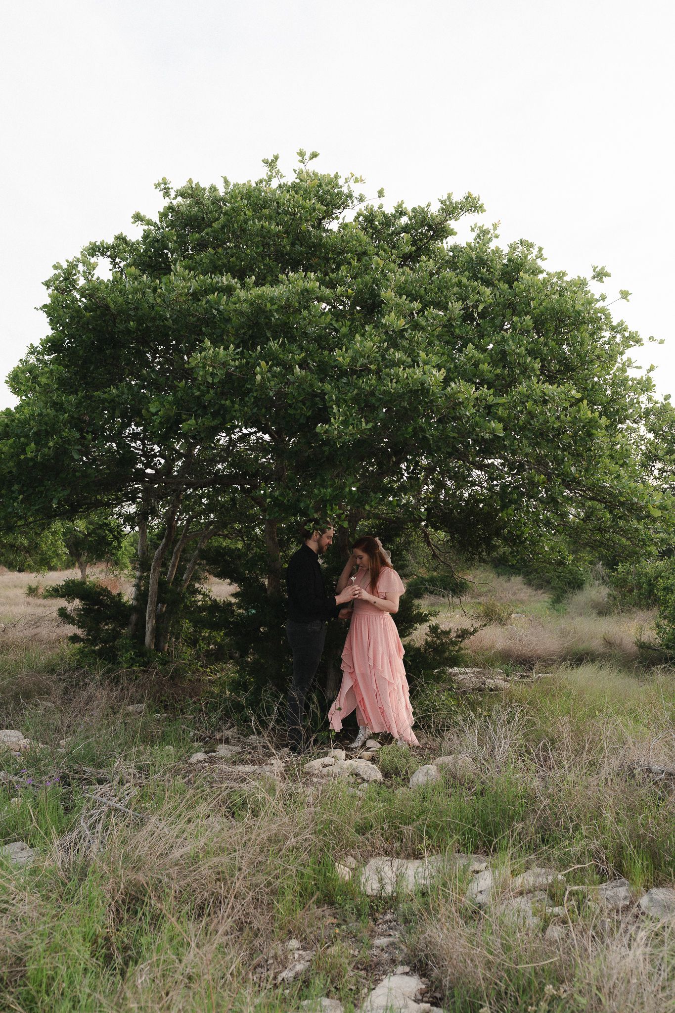 Couple embracing under a lush green tree in a rocky field, woman in pink dress, romantic outdoor portrait.