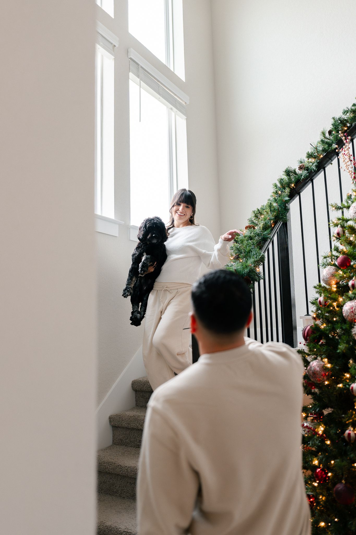 A festive staircase decorated with garland and Christmas lights while a black dog is carried up the steps.