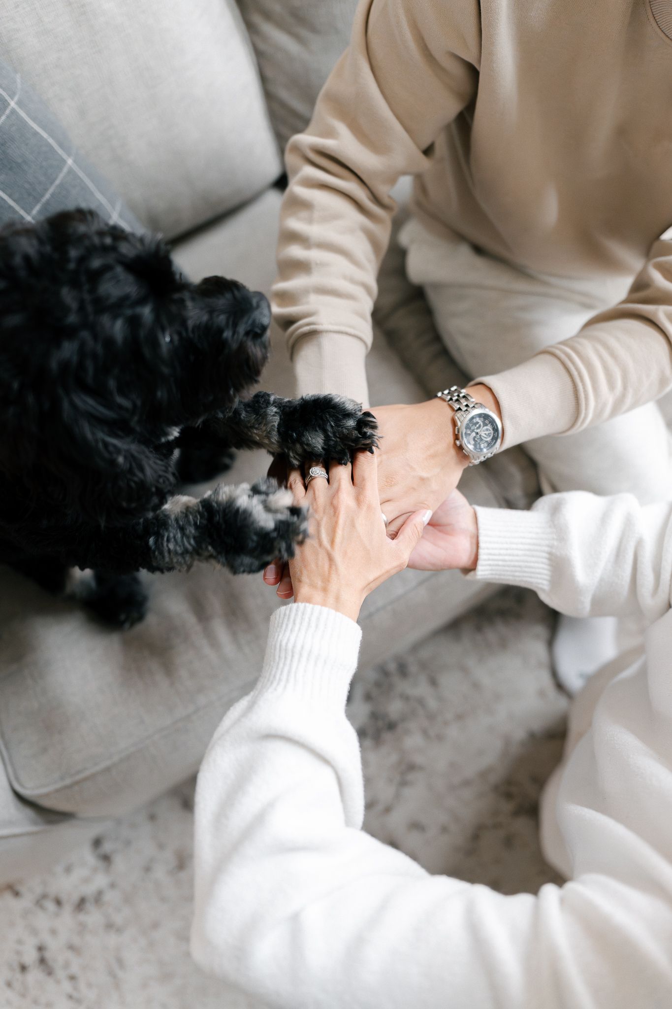 Black dog resting head on person wearing cream sweater and white pants while sitting on gray floor.