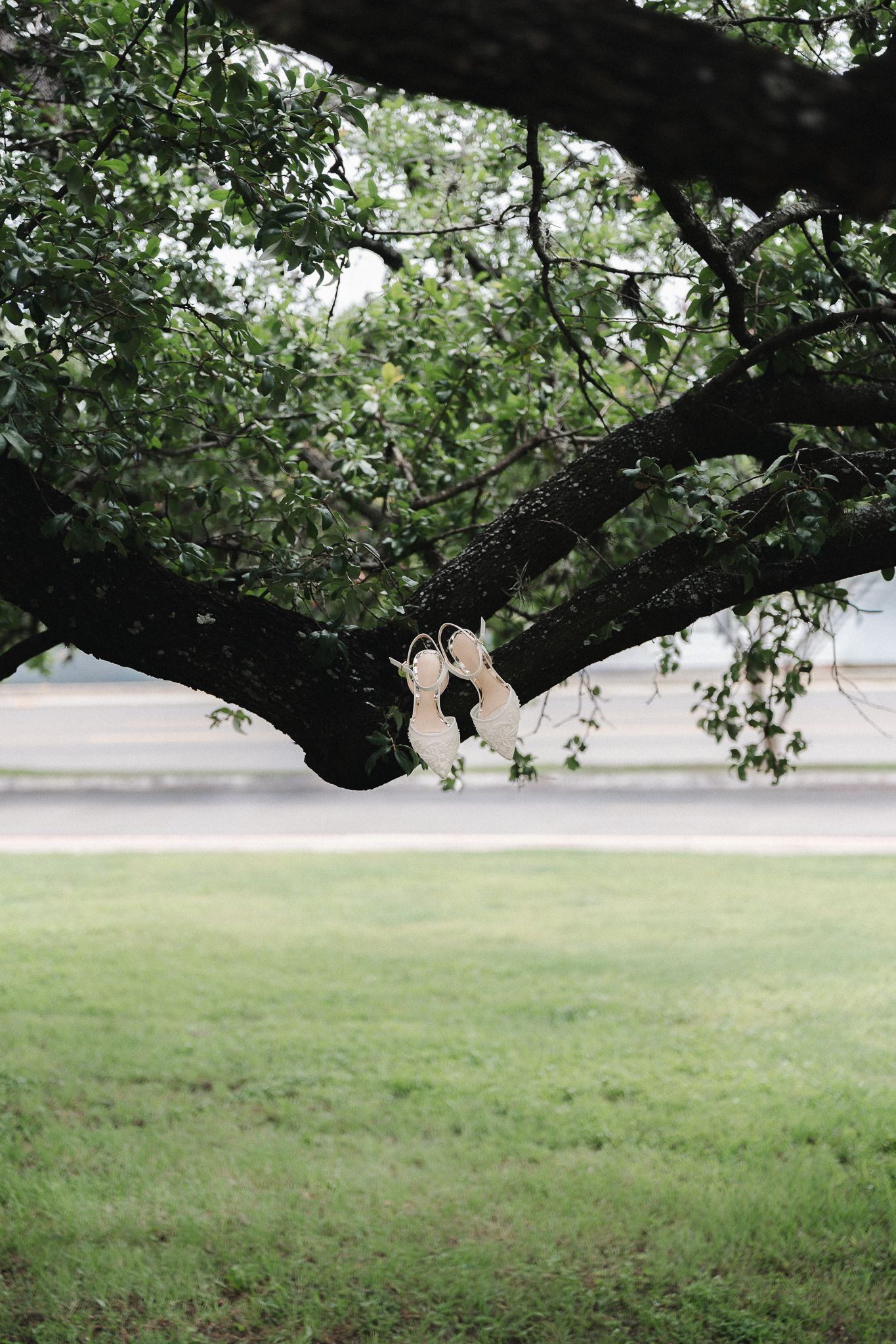 White bridal heels resting on a large tree branch in a lush green park setting.