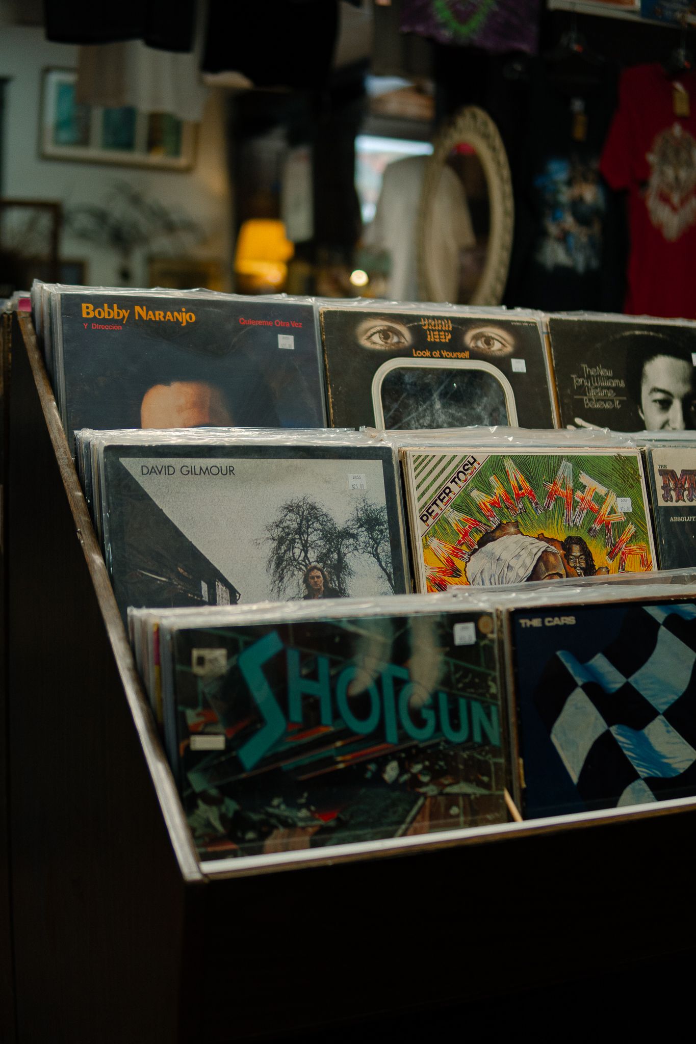 Close-up view of vinyl records displayed in a retail store shelf with album covers visible.