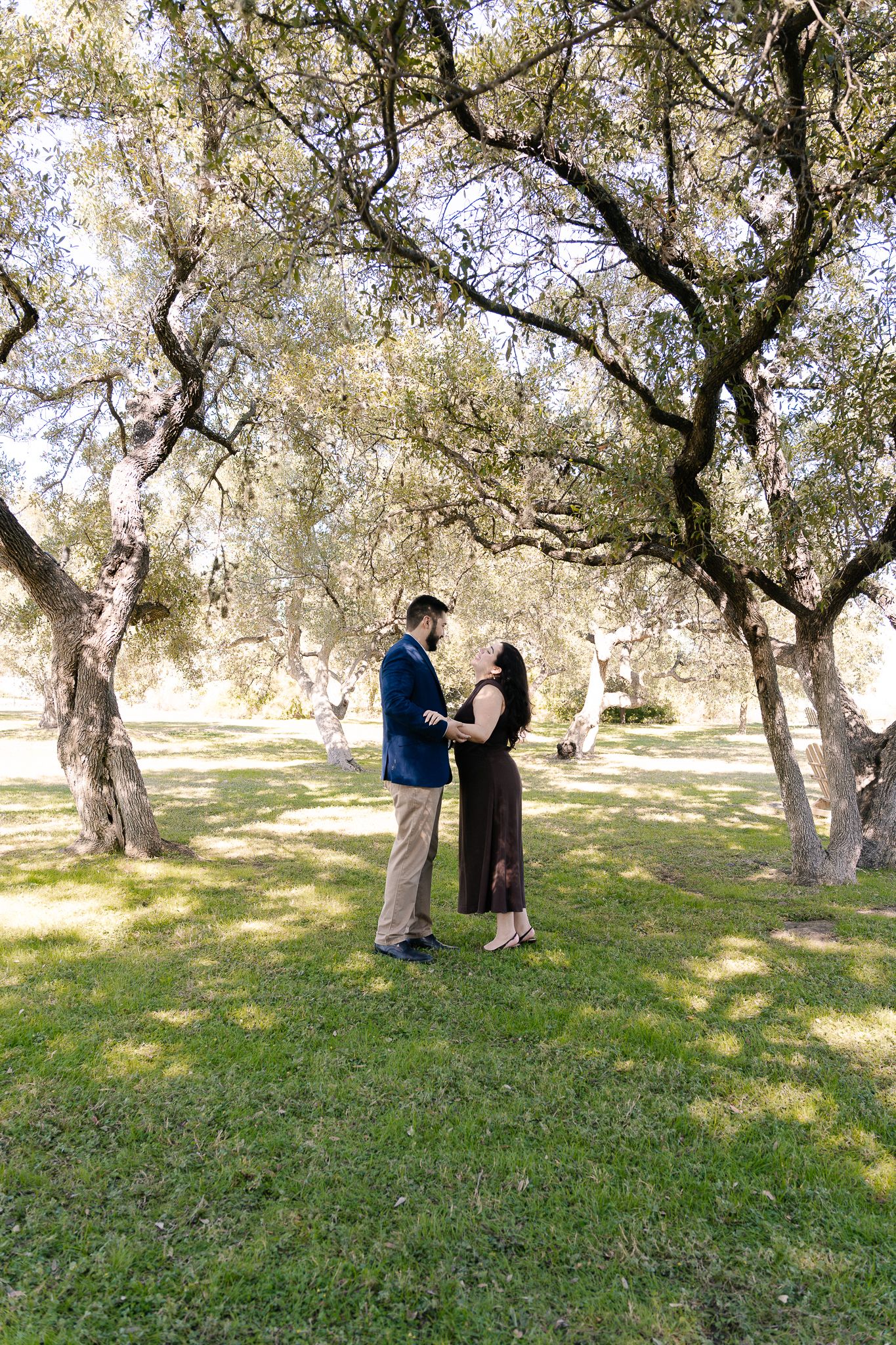 A couple shares a tender moment in an olive grove on a sunny afternoon.