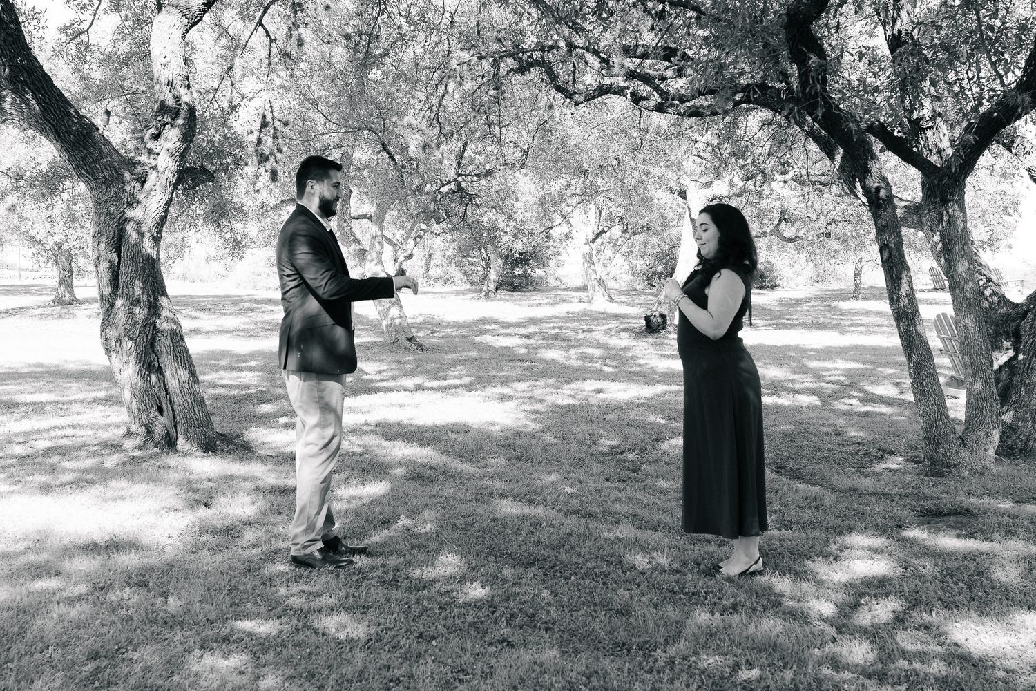 Black and white photo showing figures walking through a scenic orchard with scattered trees.