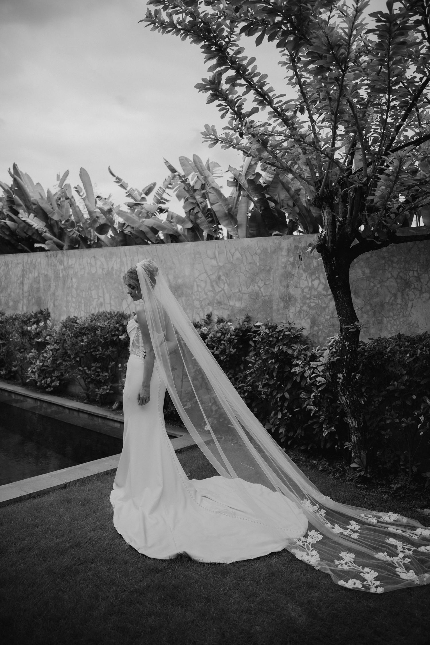 Bride in elegant white gown with long lace-trimmed cathedral veil in black and white garden photo.