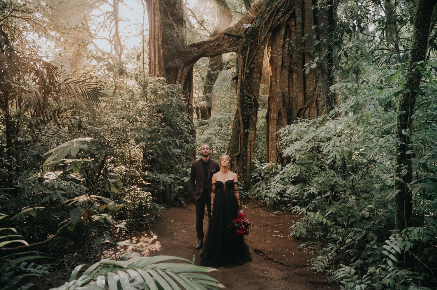 Enchanting forest path with sunlight filtering through trees and greenery creating a magical woodland atmosphere.