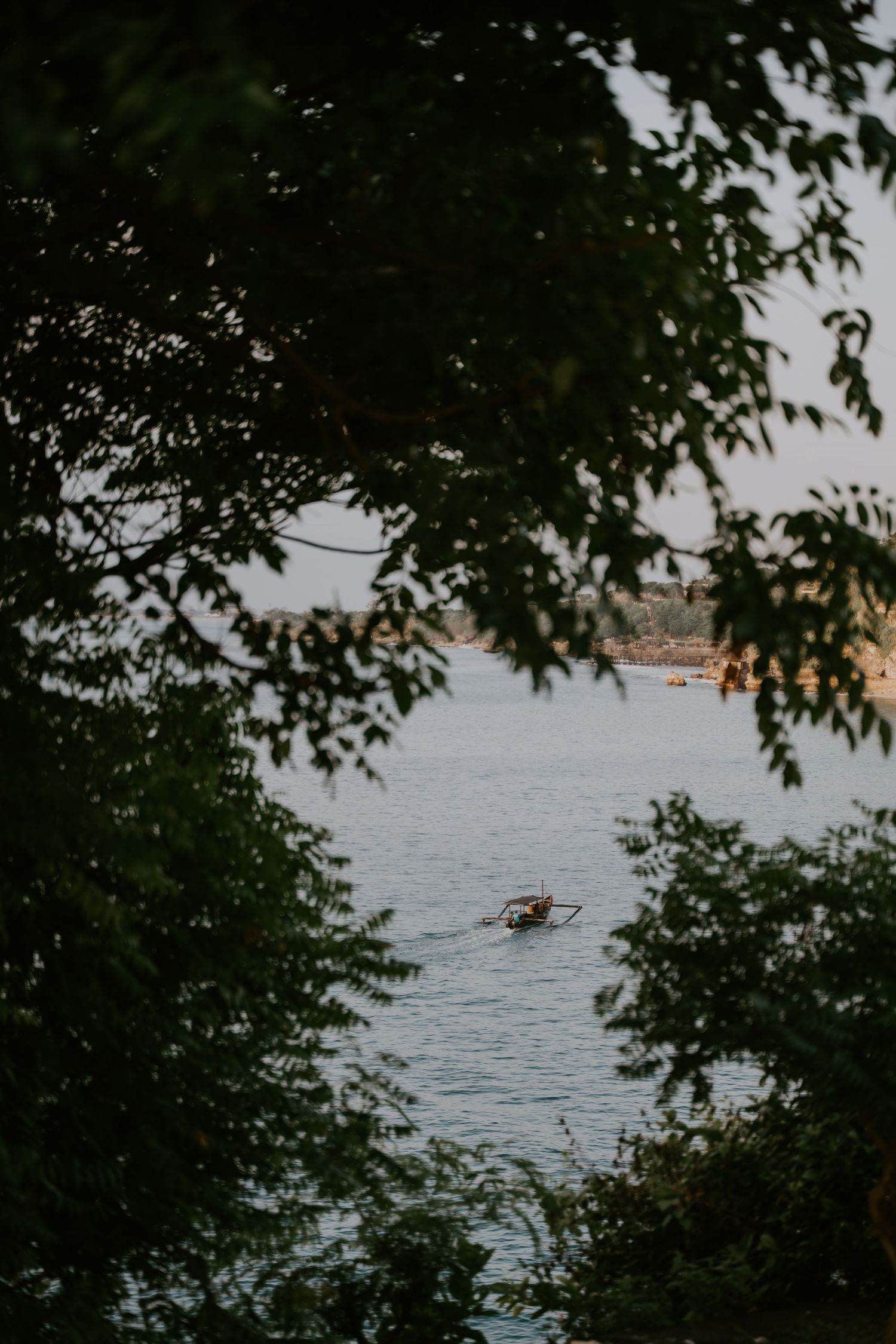 A small boat on calm blue water framed by green tree branches in a serene coastal scene.