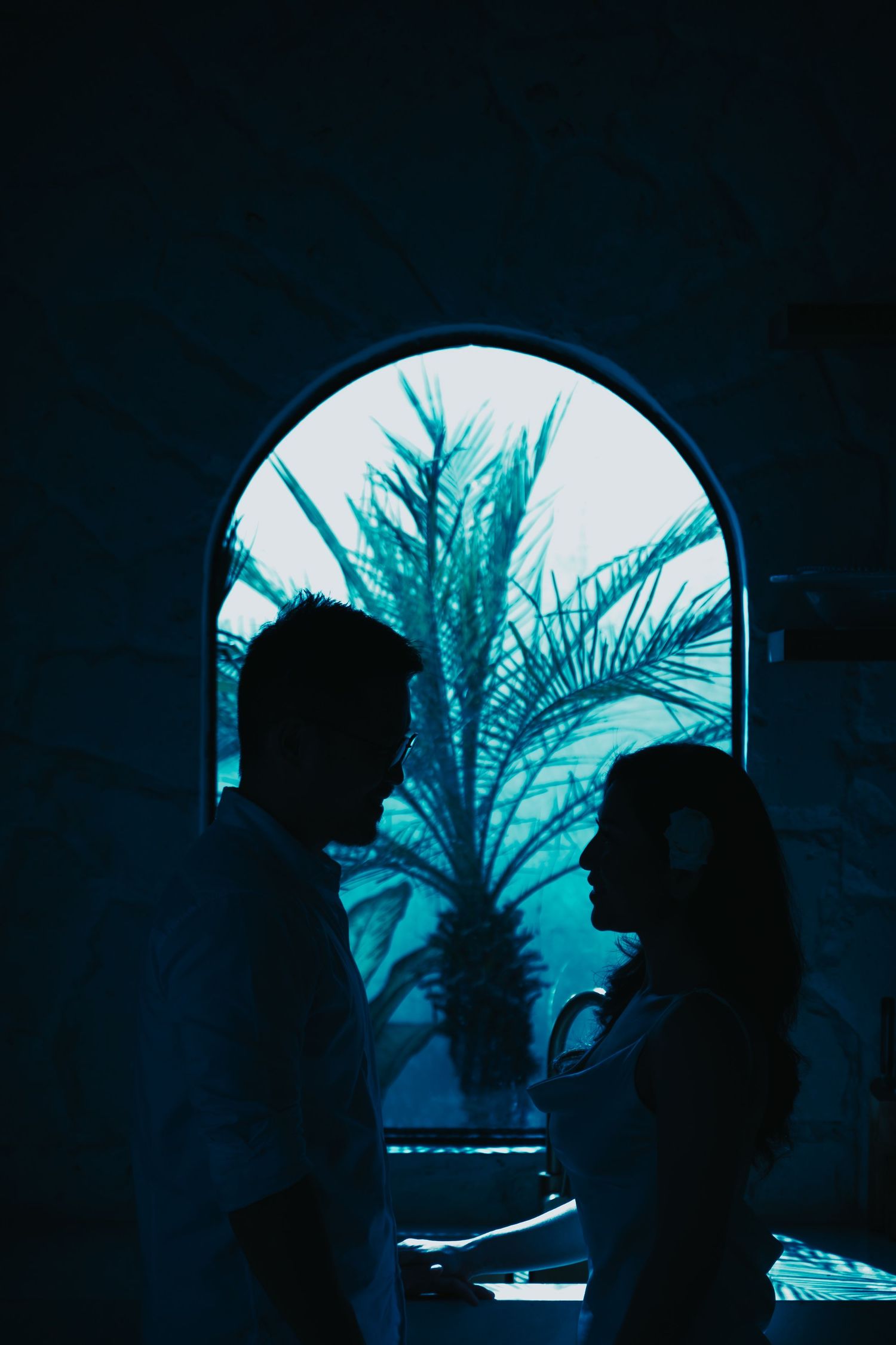Silhouettes of a couple facing each other in an arched doorway with a palm tree and blue tones in the background.