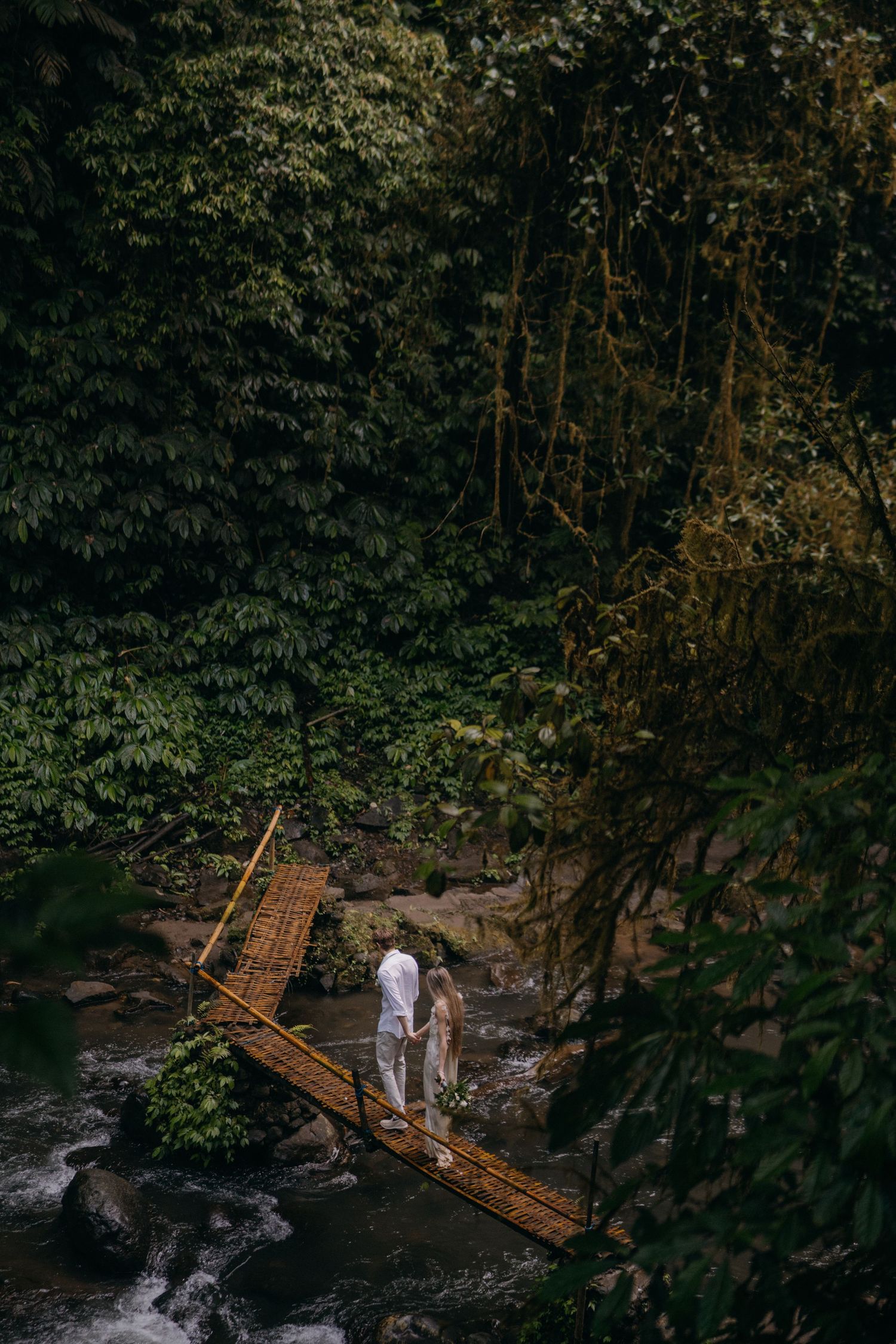 A couple crosses a wooden bridge over a rushing stream in a lush tropical forest setting.