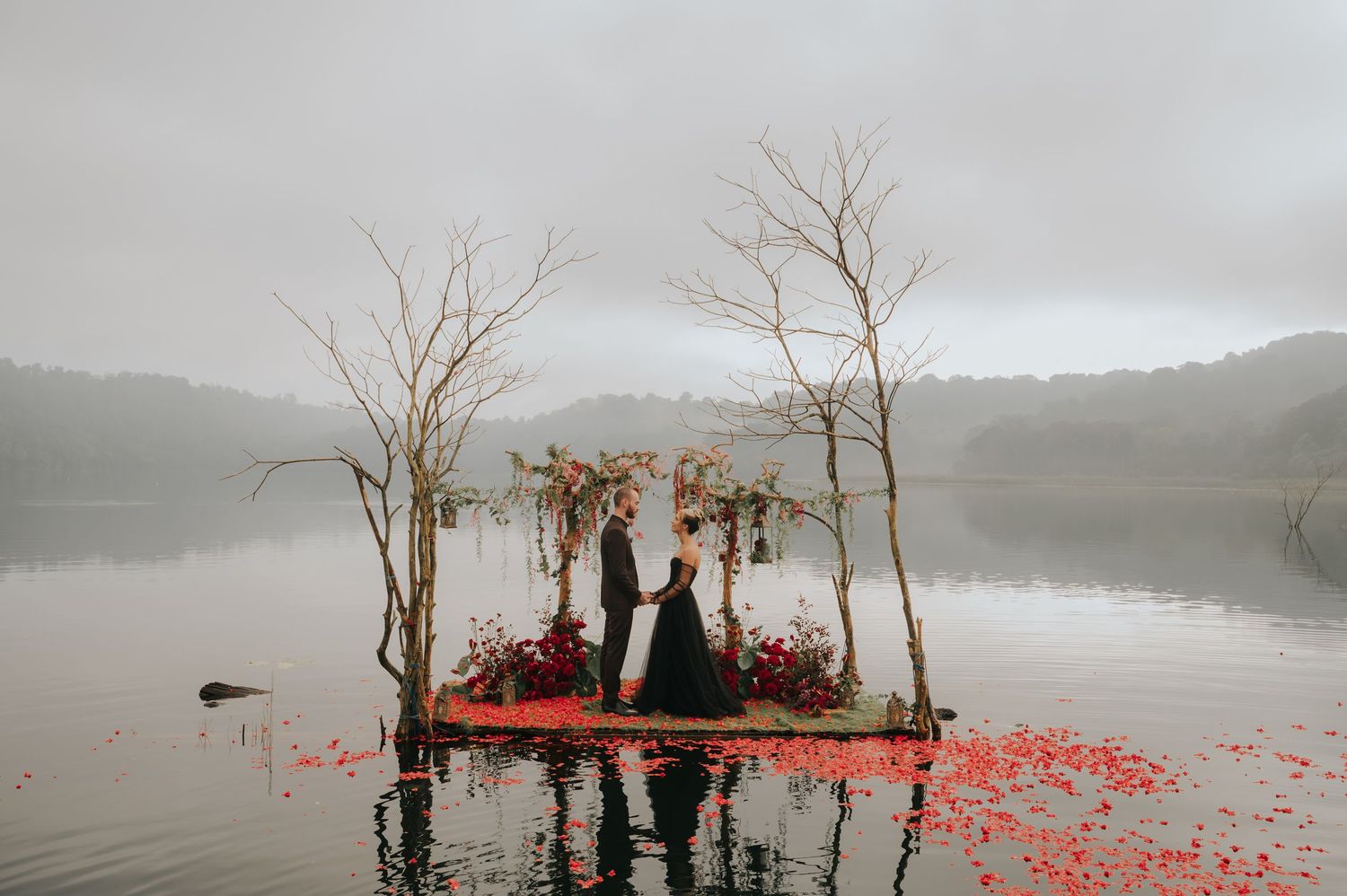 Rose petals scattered across a foggy lake scene with bare trees emerging from the water at dusk.