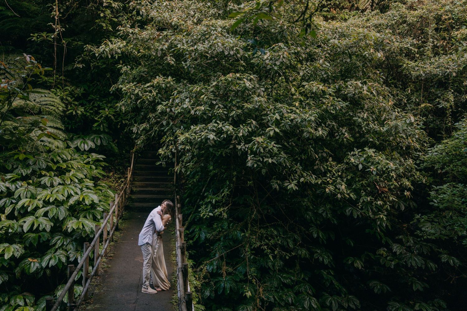 A figure in white stands on a wooden footbridge surrounded by lush green foliage in a tranquil forest setting.