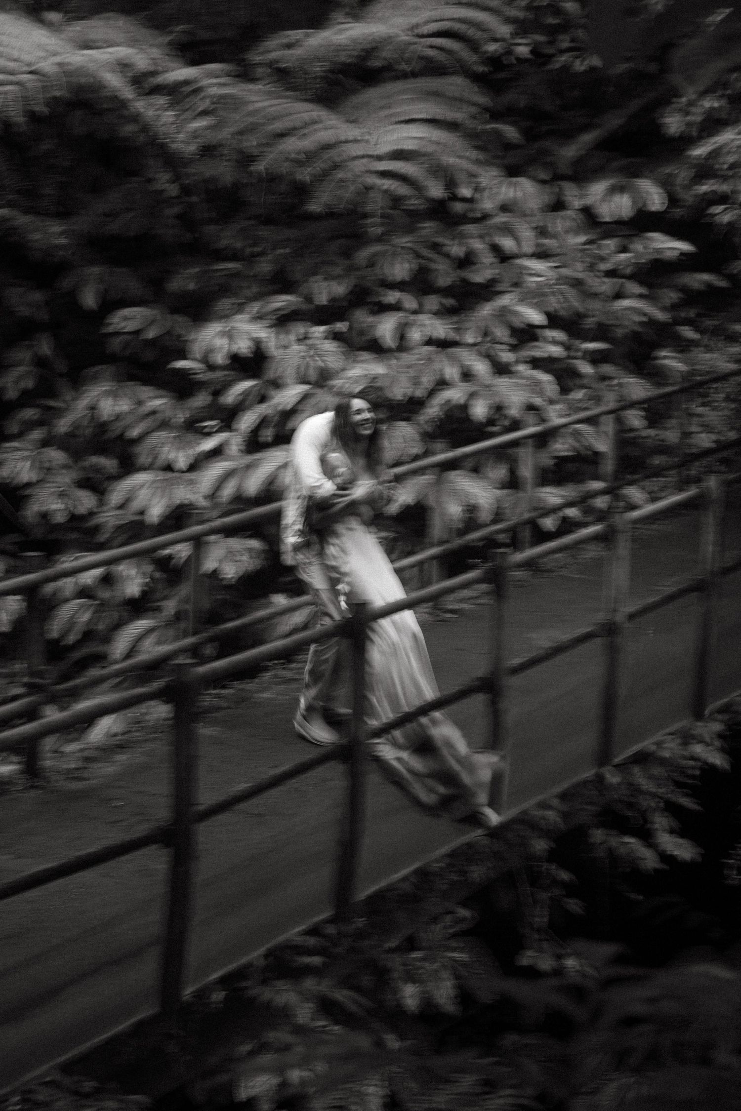 A figure crosses a suspended footbridge in black and white, surrounded by lush ferns and foliage.