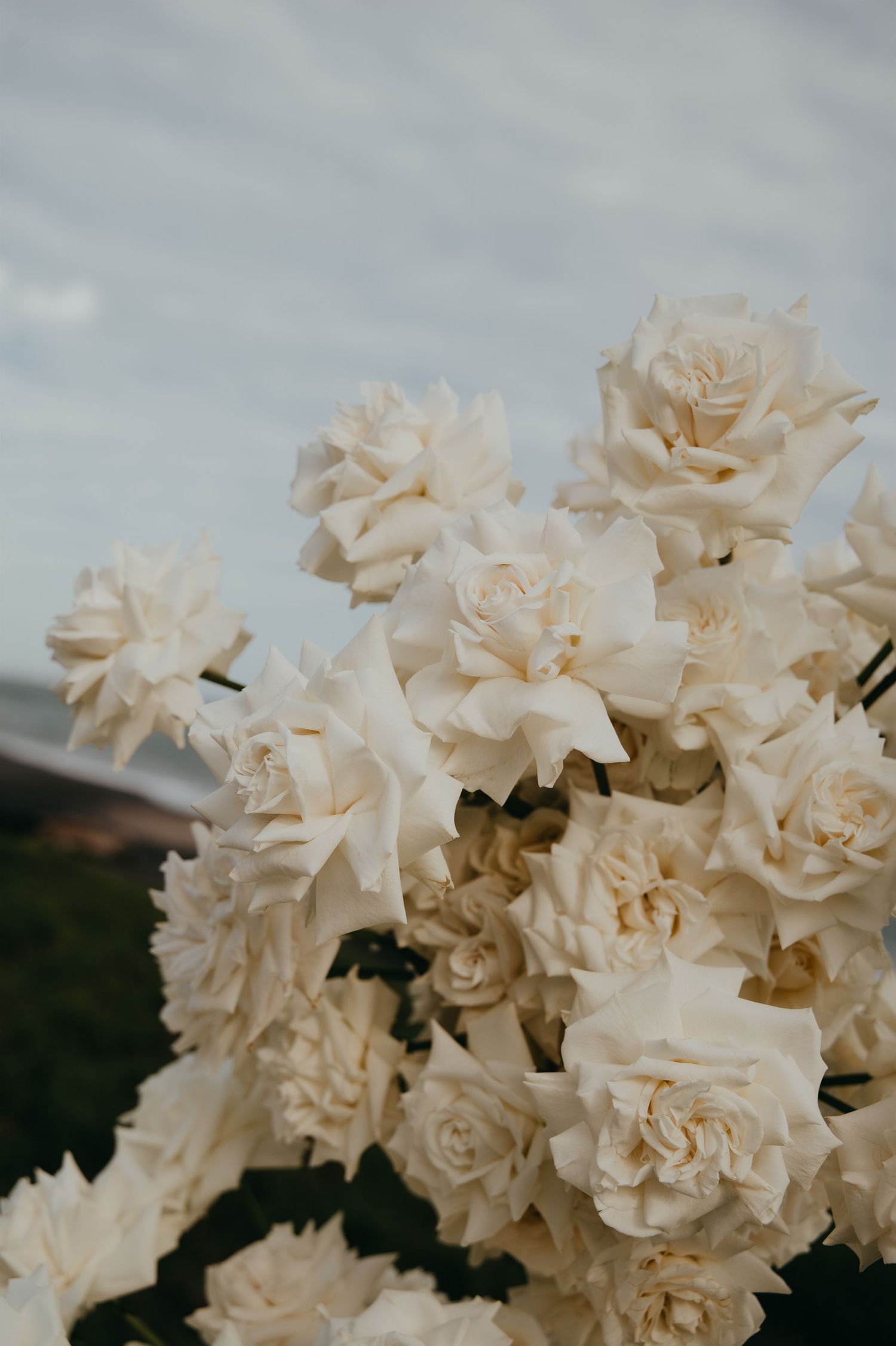 Lush arrangement of cream white roses displayed against a cloudy sky at an outdoor wedding.