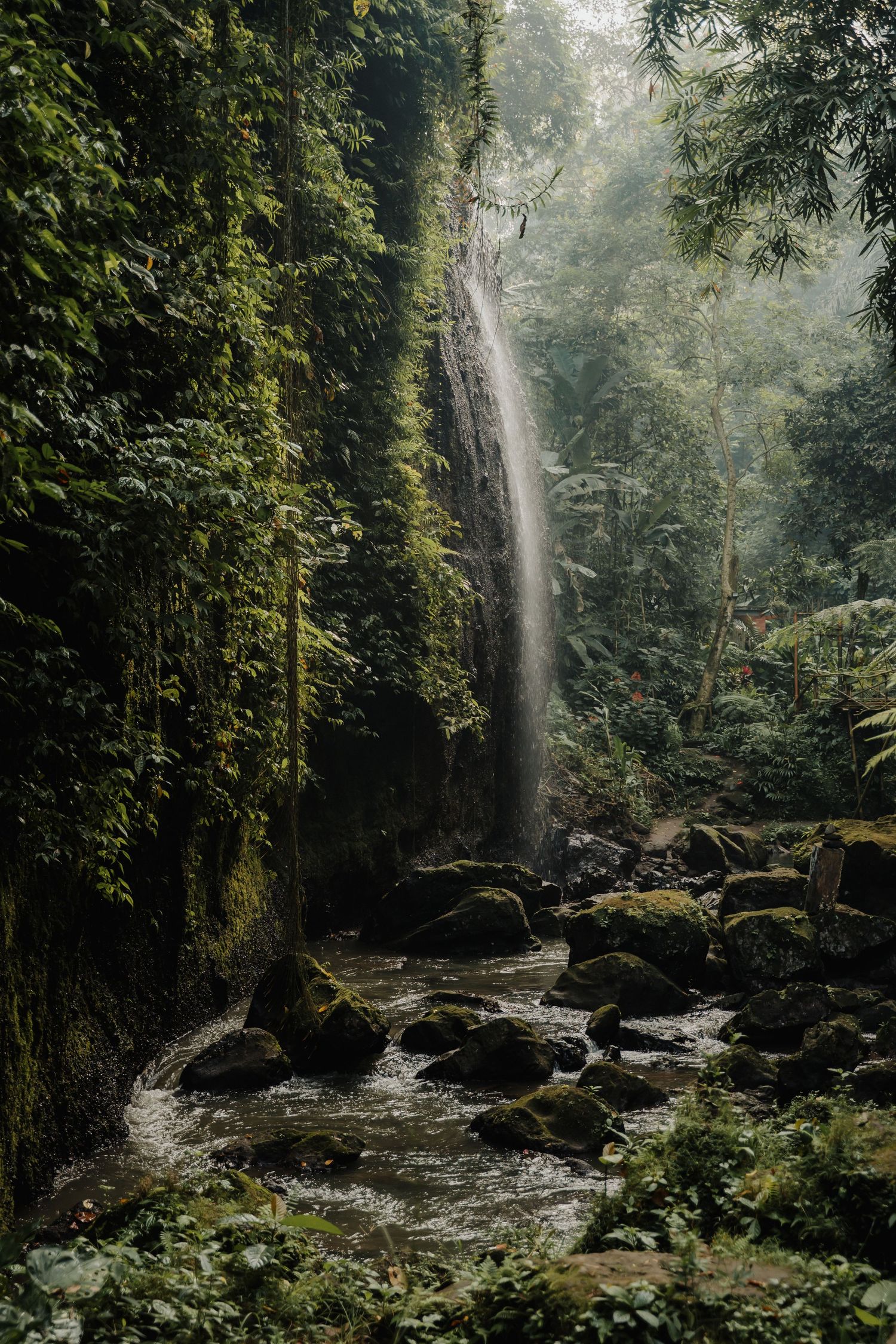 A misty tropical waterfall cascades down moss-covered rocks surrounded by lush green jungle foliage.