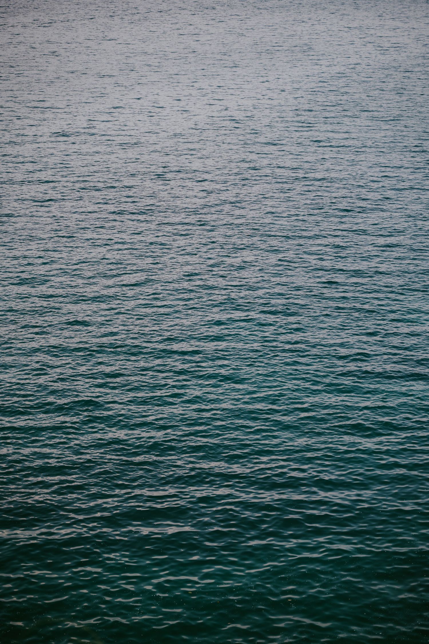 Calm teal ocean water surface with gentle ripples reflecting soft natural light.