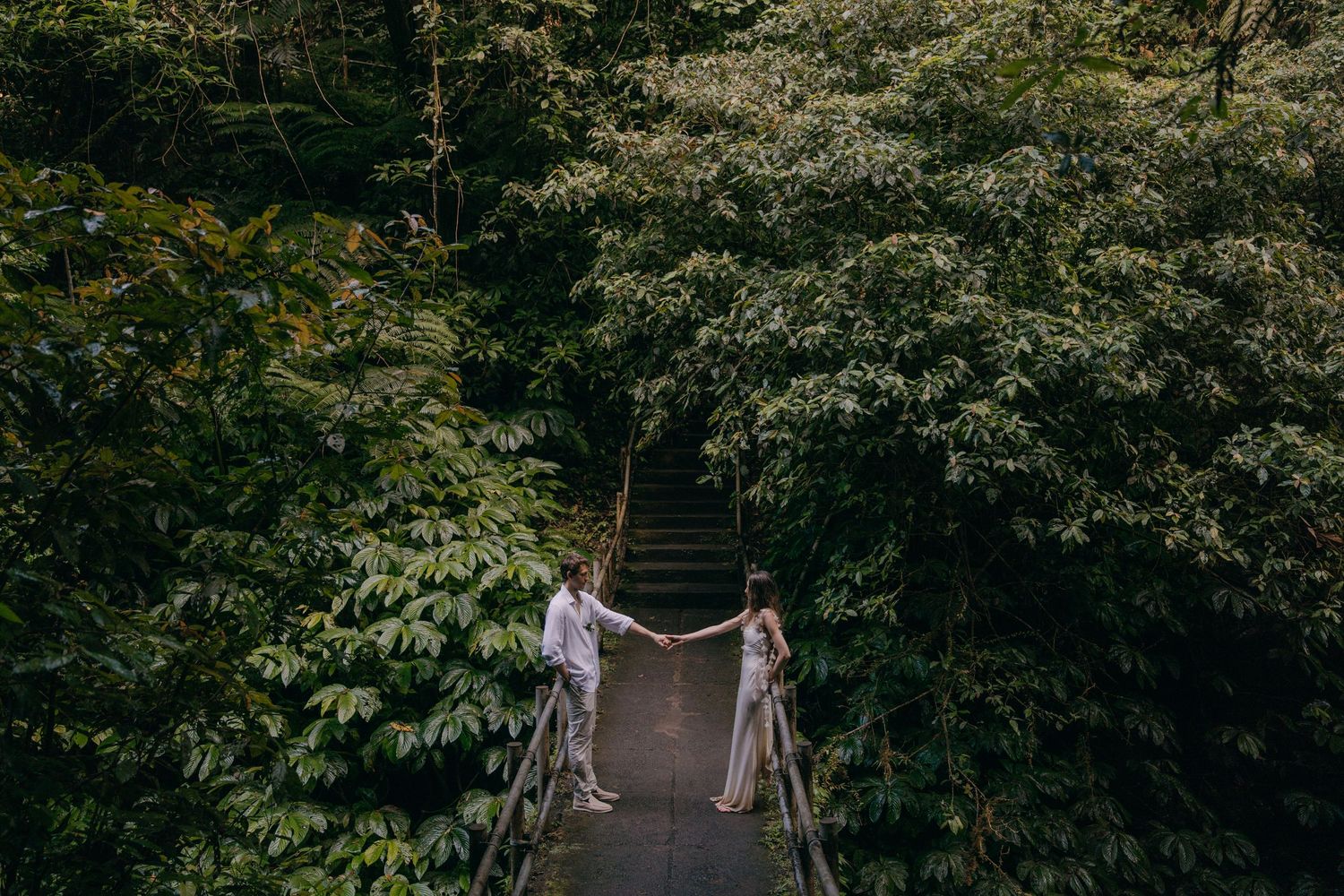 A wooden footbridge surrounded by lush green foliage leads into a tranquil forest setting.