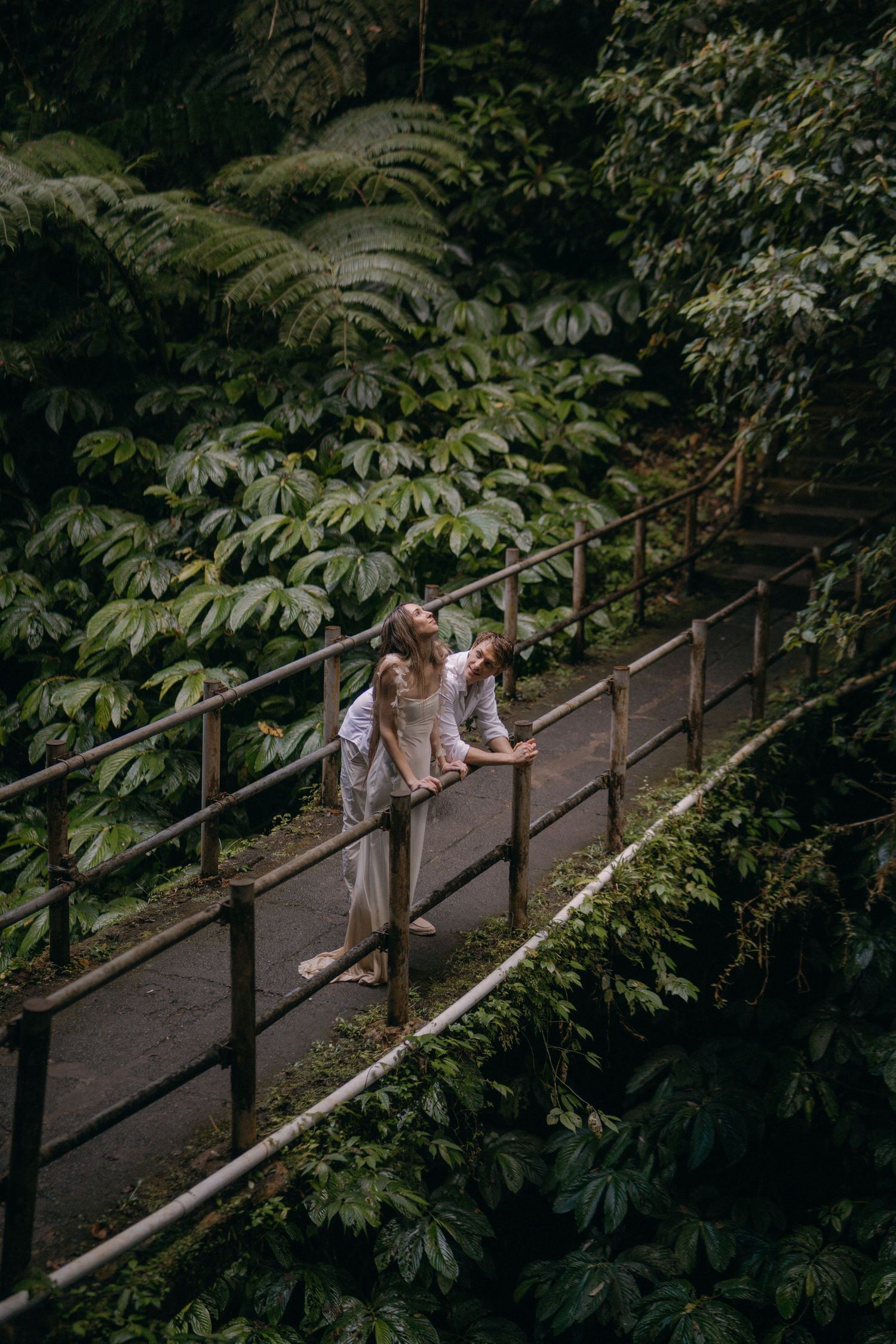 People walk along a wooden footbridge surrounded by lush tropical foliage and giant ferns in a rainforest setting.