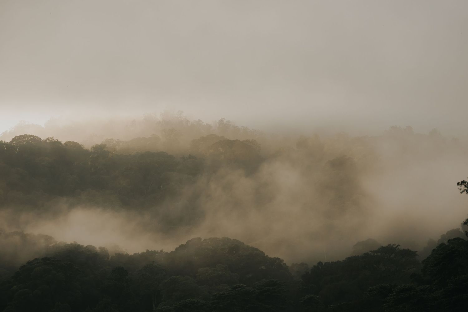 Fog rolls over dark mountain ridges creating a moody atmospheric landscape at dusk.