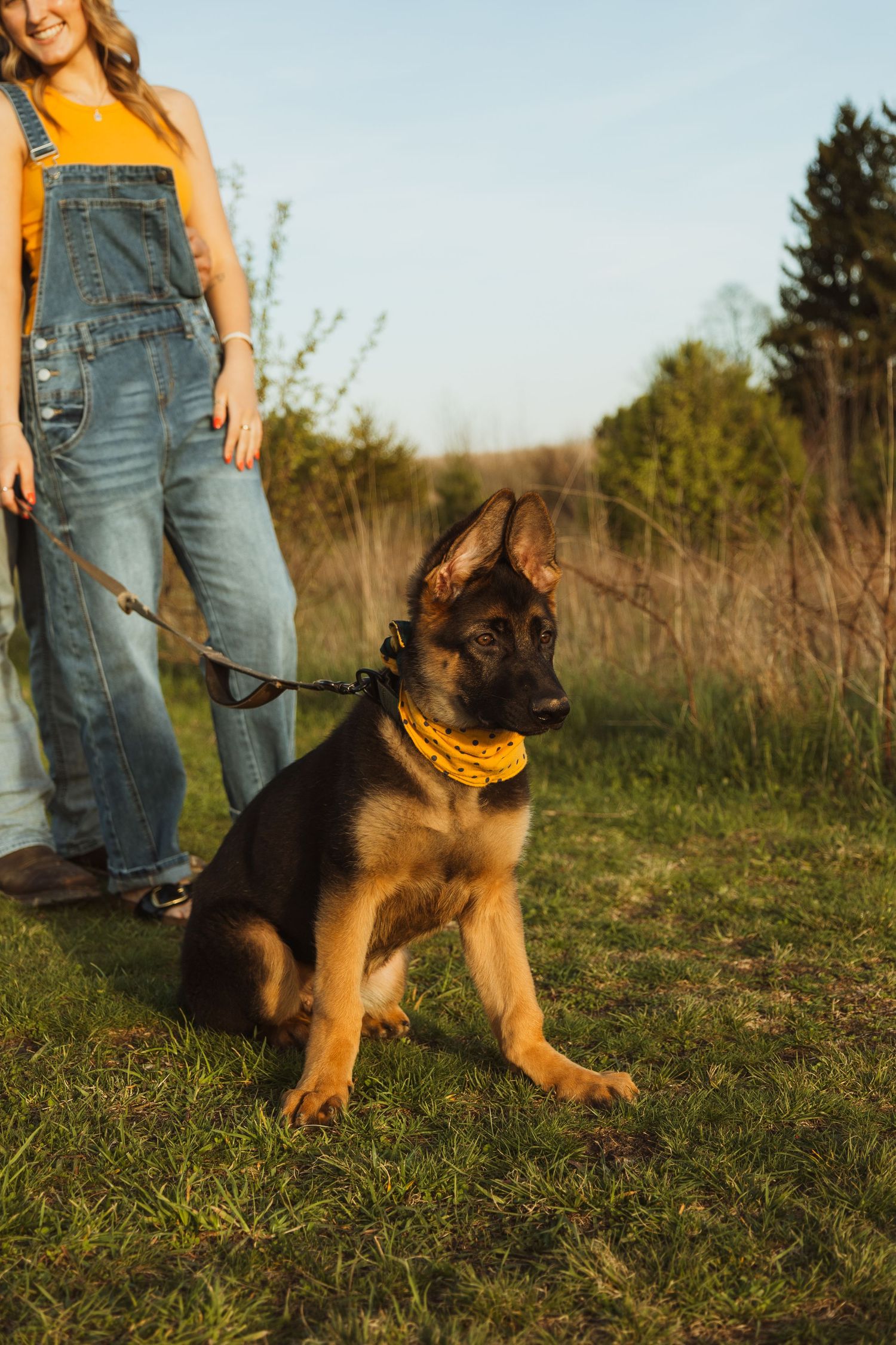 A German Shepherd puppy wearing a yellow bandana sits on green grass on a leash held by a woman in denim overalls.
