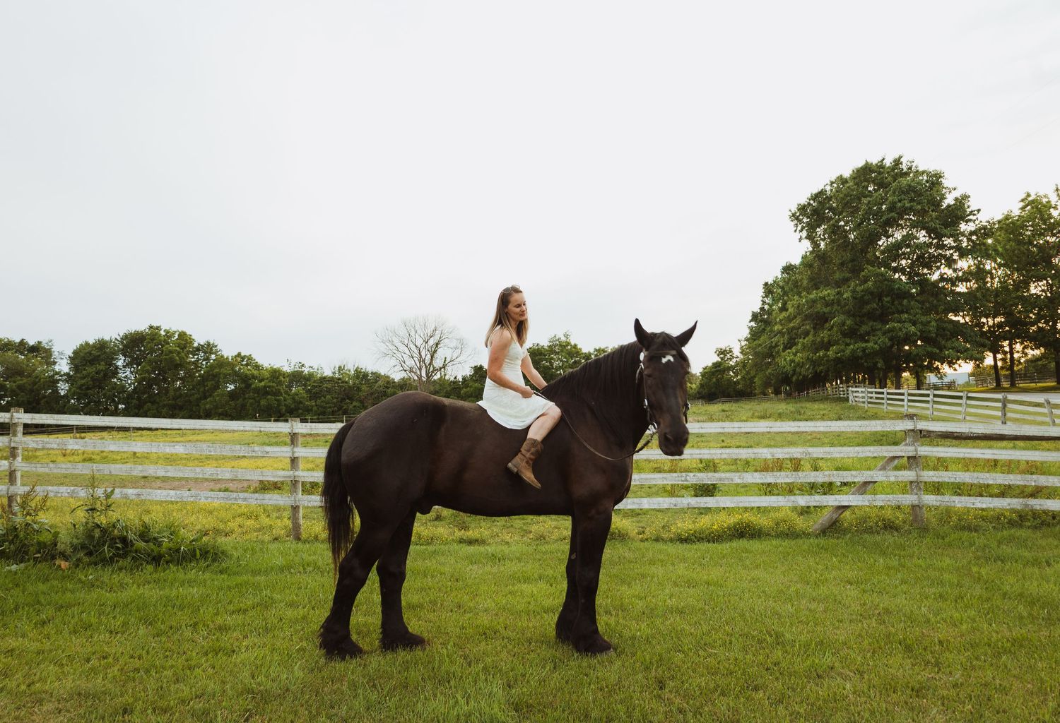 A young woman in a white dress rides a dark brown horse in a green pasture with a white fence.