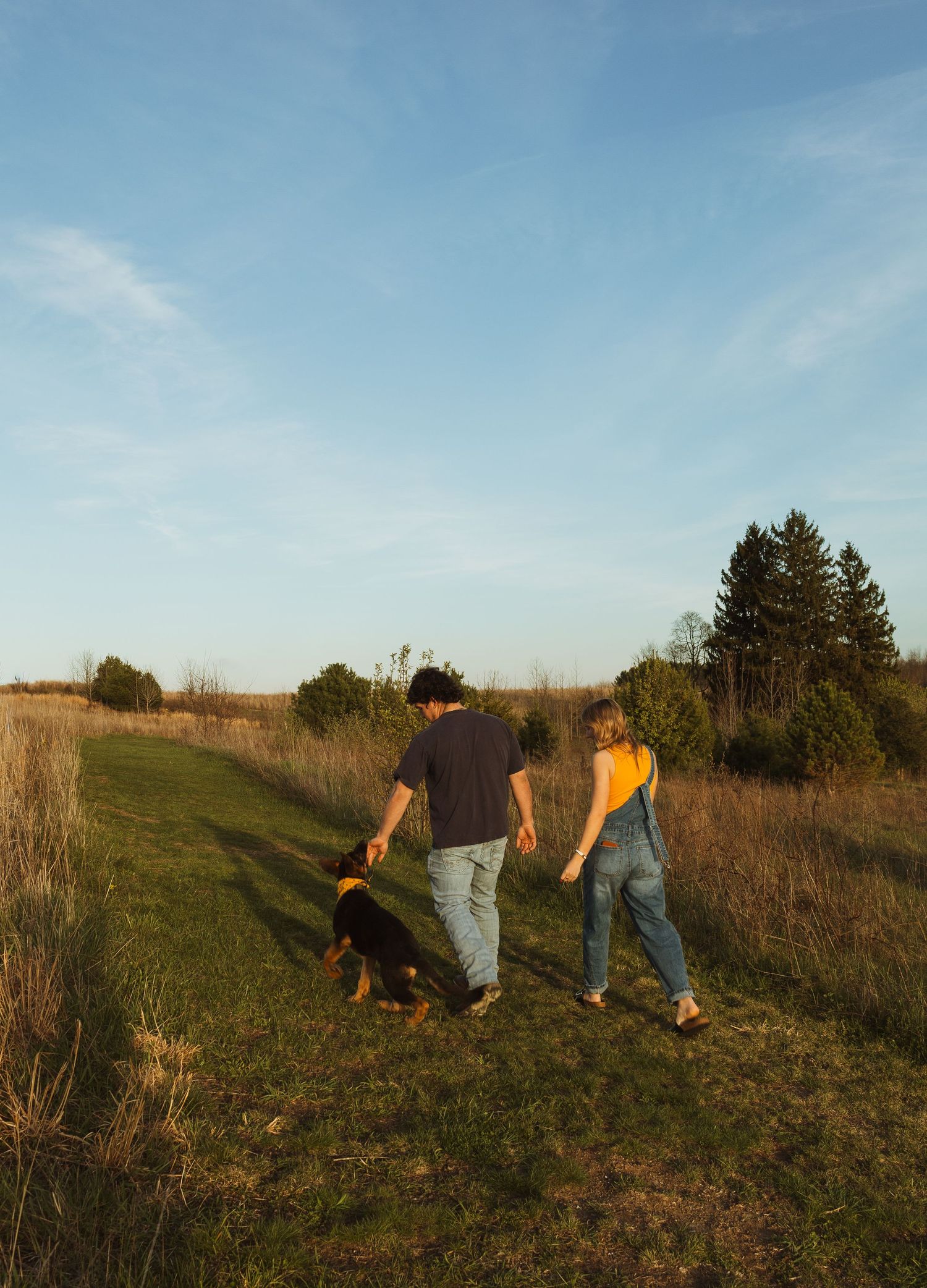Couple walking with black and tan dog on grassy path through golden fields under blue sky at sunset.