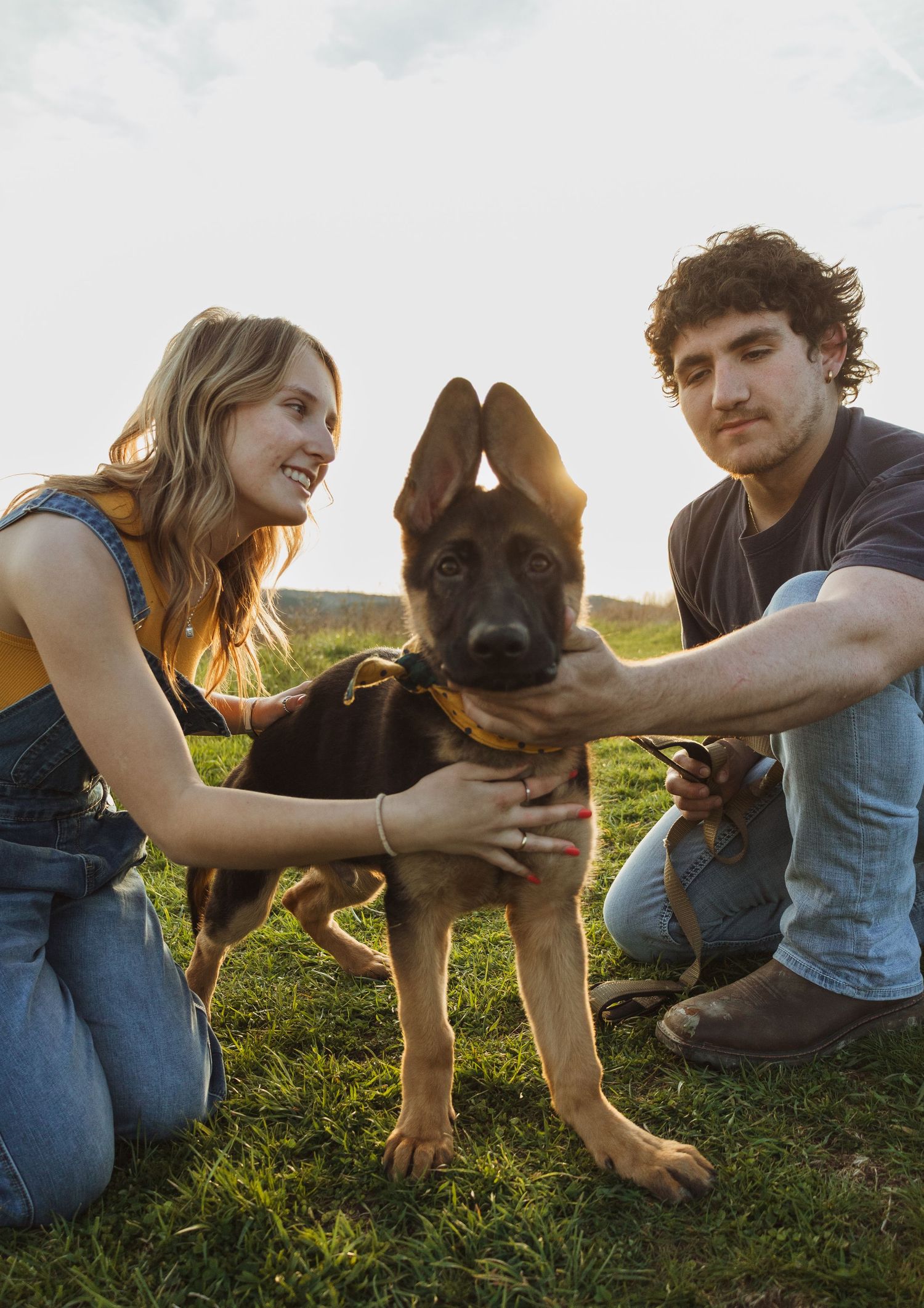 A smiling couple kneels on grass petting an adorable German Shepherd puppy wearing a yellow harness outdoors.
