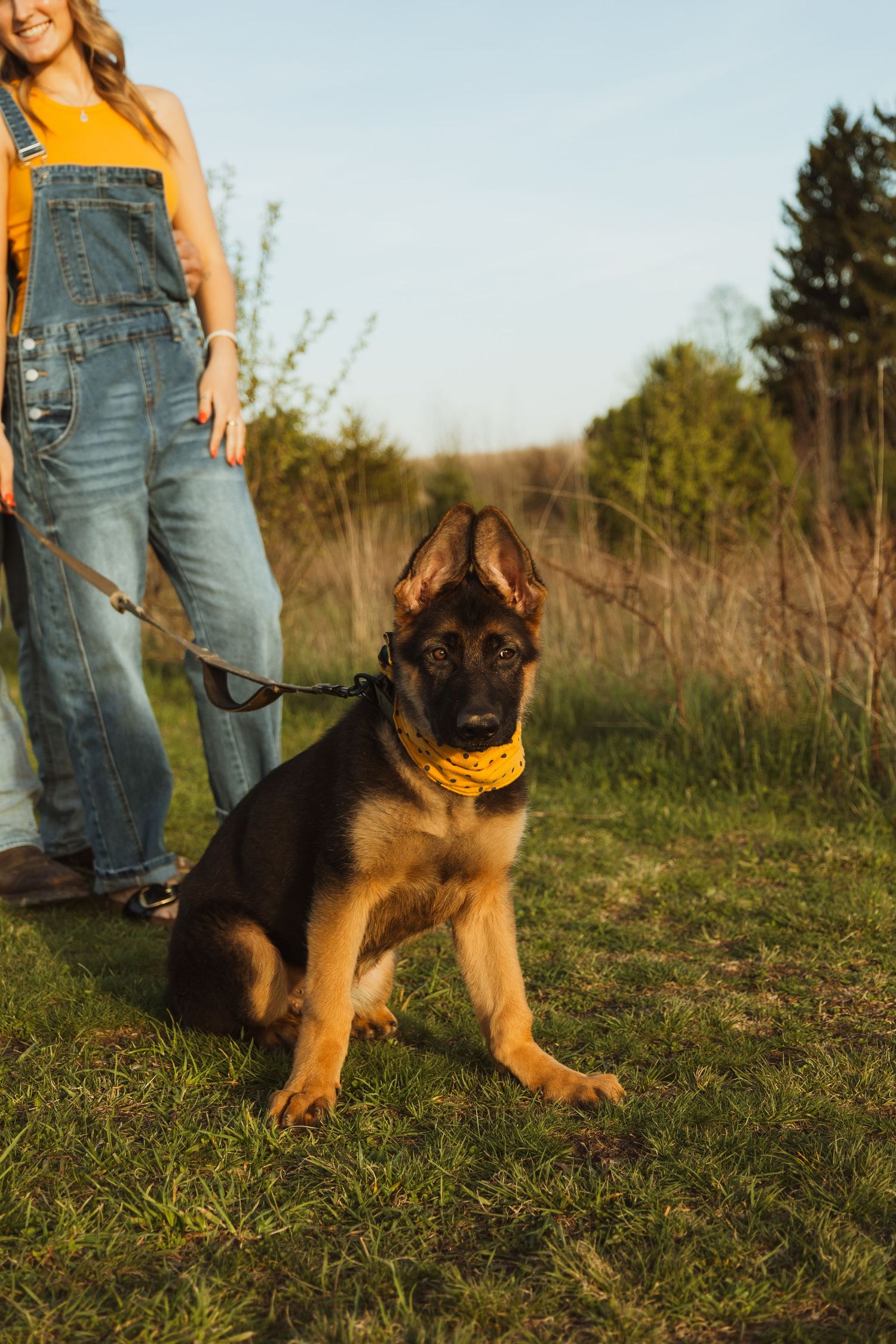 A German Shepherd puppy wearing a yellow bandana sits on green grass on a leash held by a woman in denim overalls.