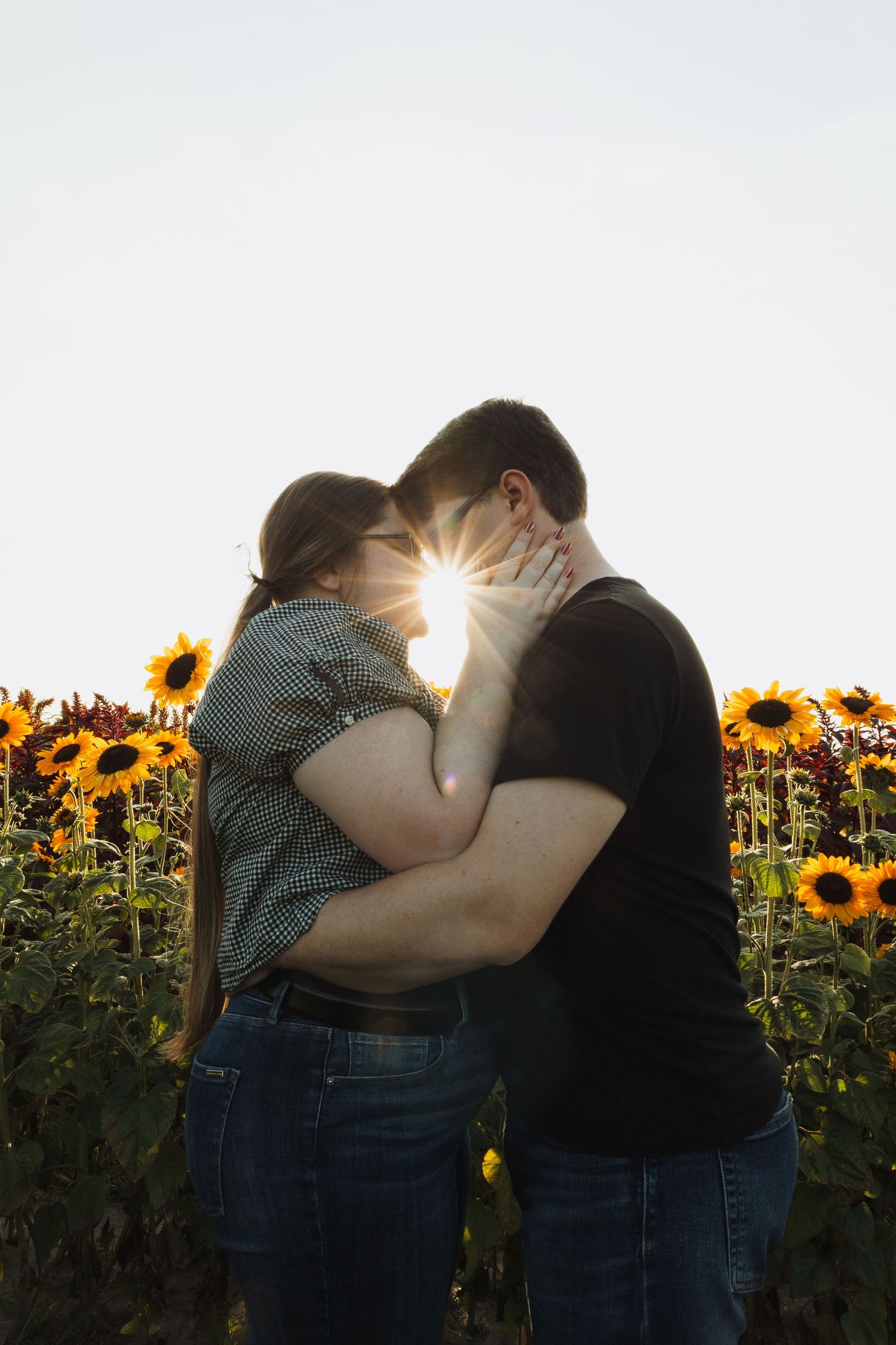 A romantic couple embraces in a sunlit sunflower field during golden hour creating a silhouette against the bright sky.