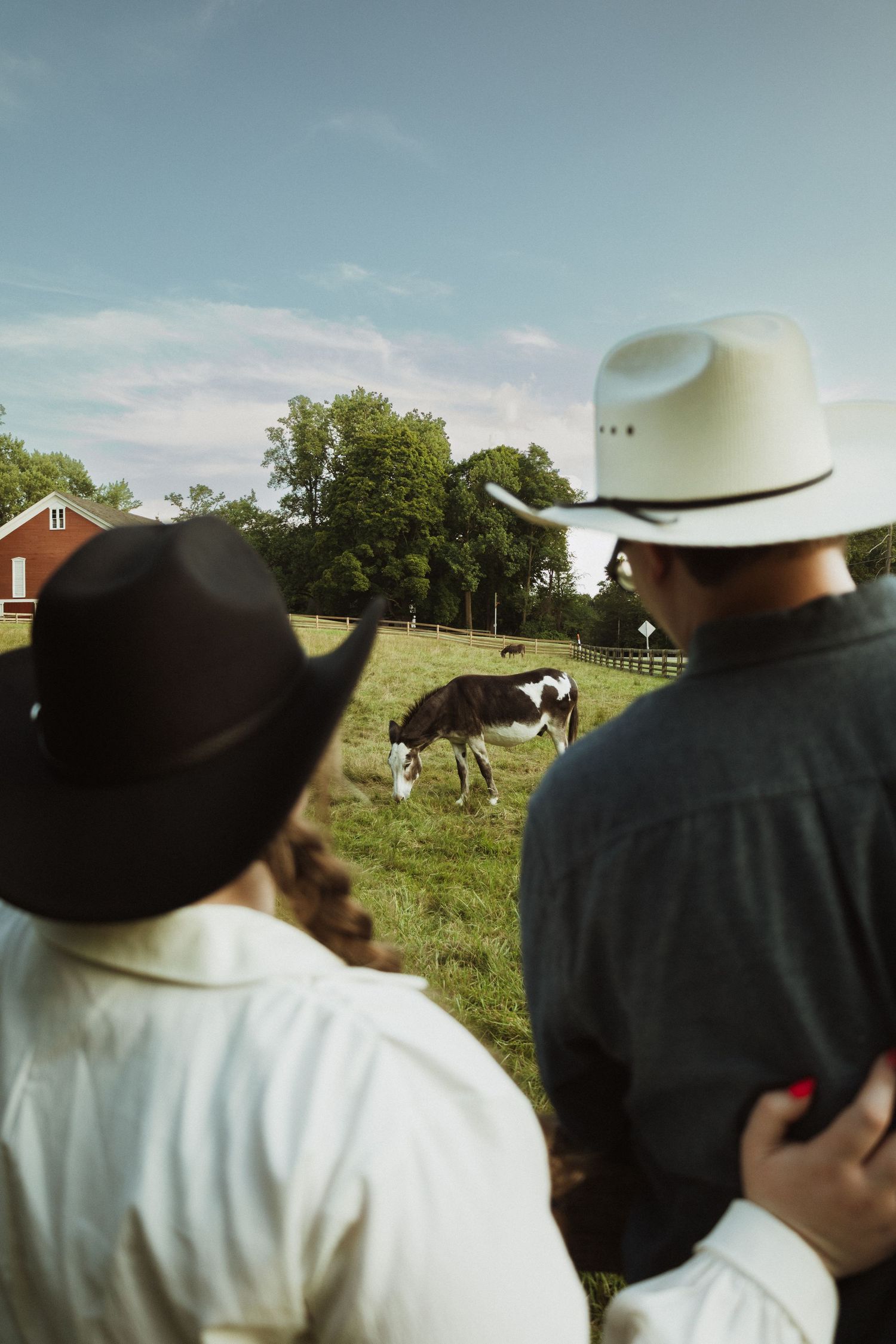 Two people in cowboy hats watch a cow grazing in a pastoral farm setting.