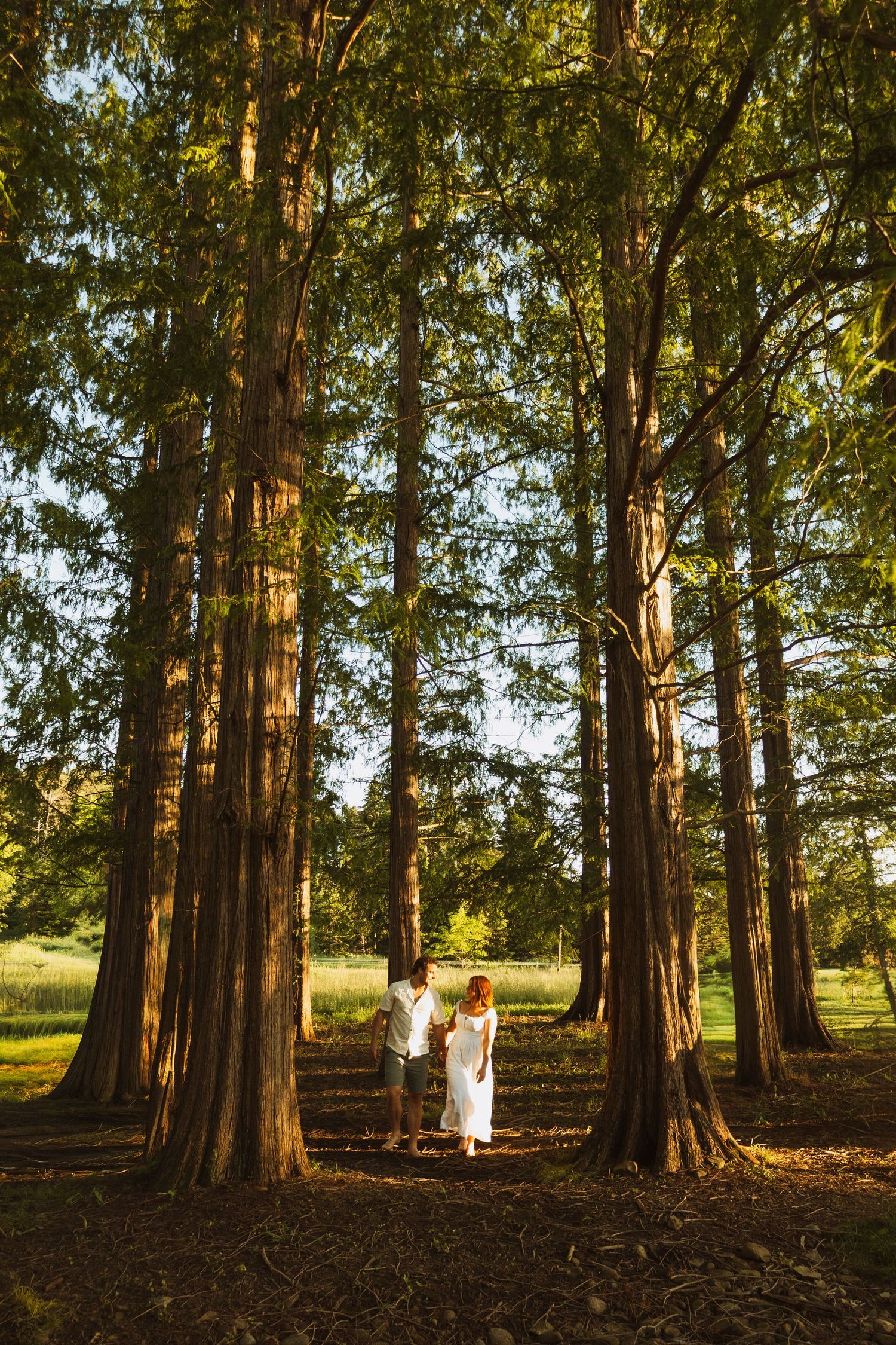 Couple in white holding hands walking among tall redwood trees in a sunlit forest clearing.