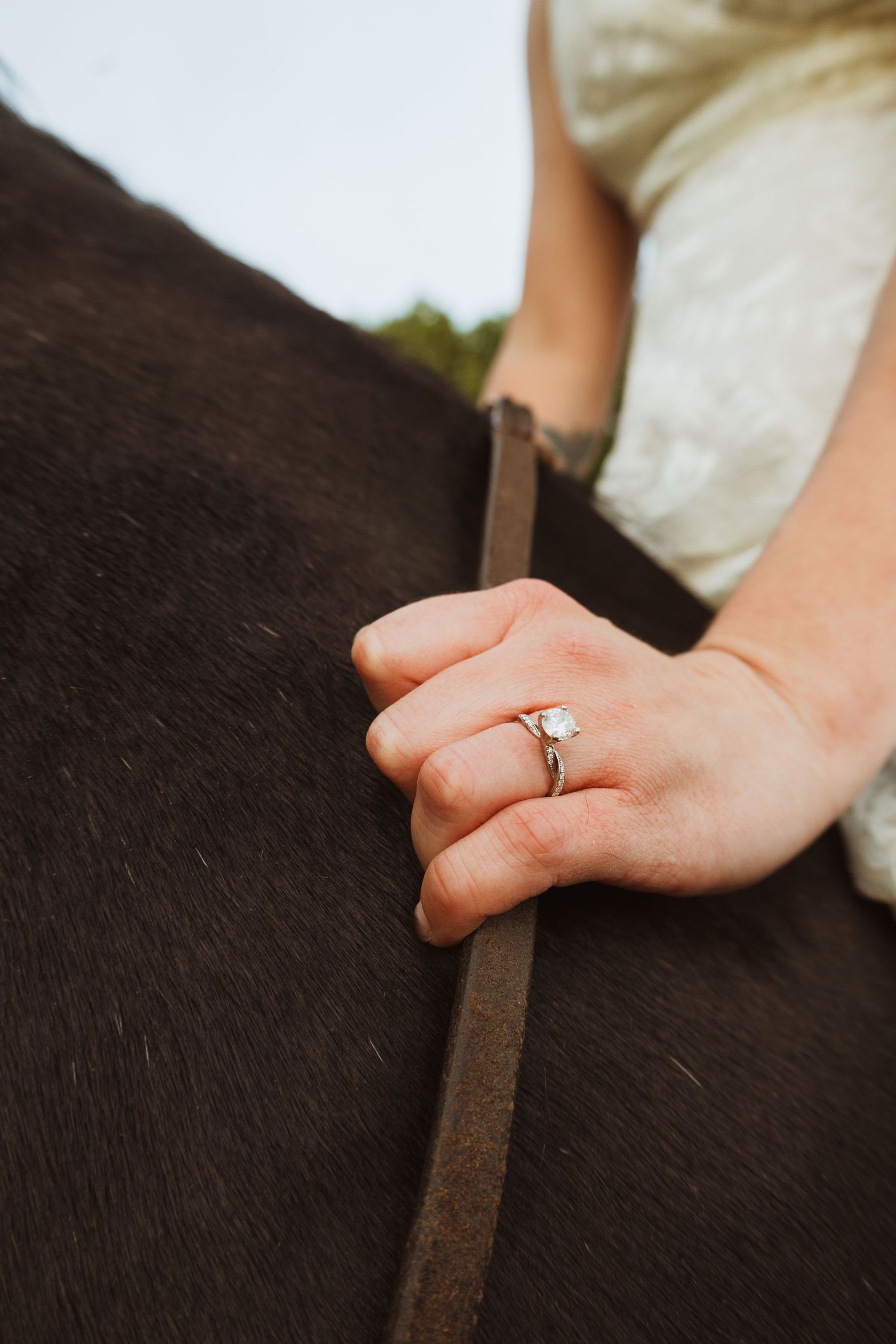 Close-up of a woman's hand wearing a solitaire diamond engagement ring resting on a dark horse's back.