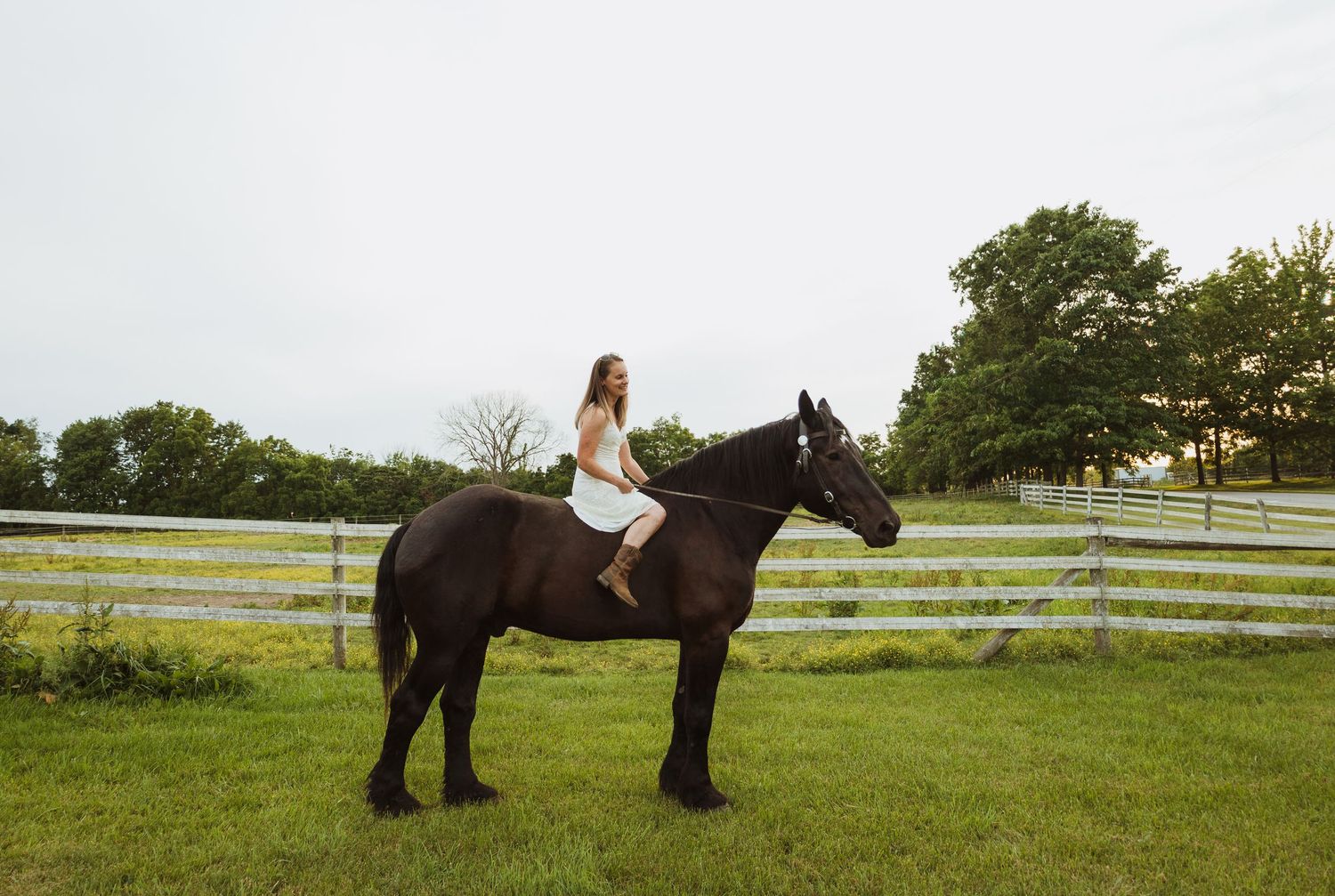 A young woman in a white dress rides a dark brown horse in a lush green pasture with a white fence.
