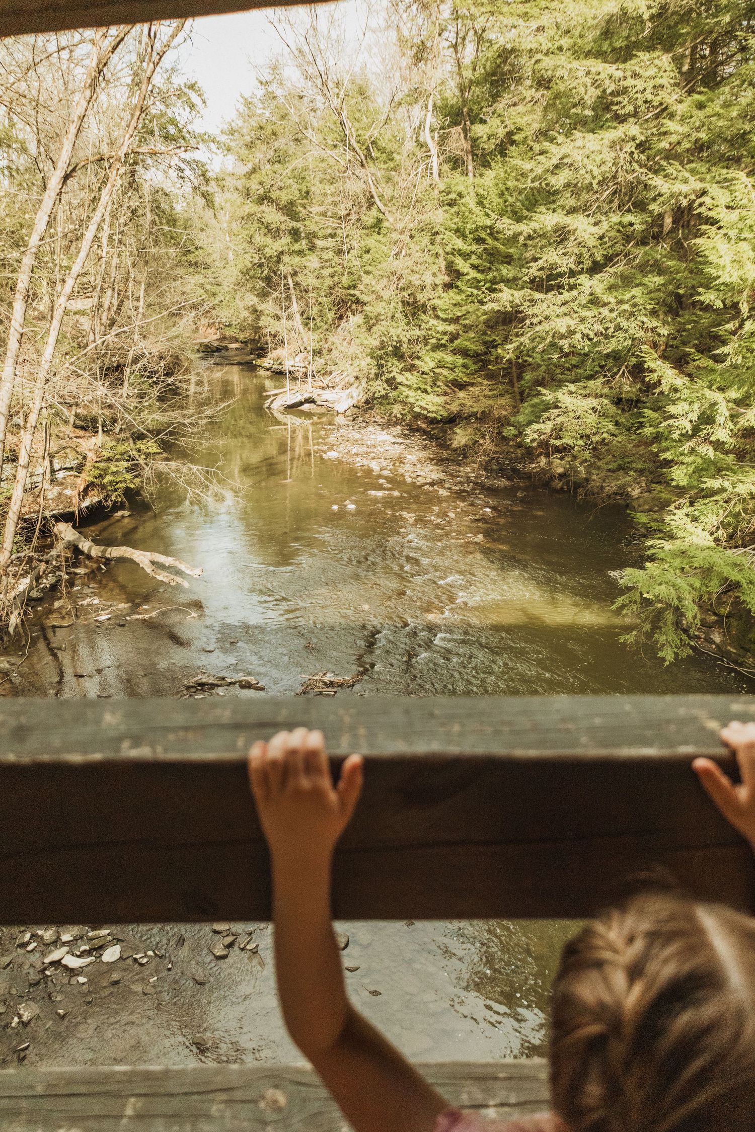Small hands reach up to touch the railing of a wooden bridge overlooking a peaceful forest stream.