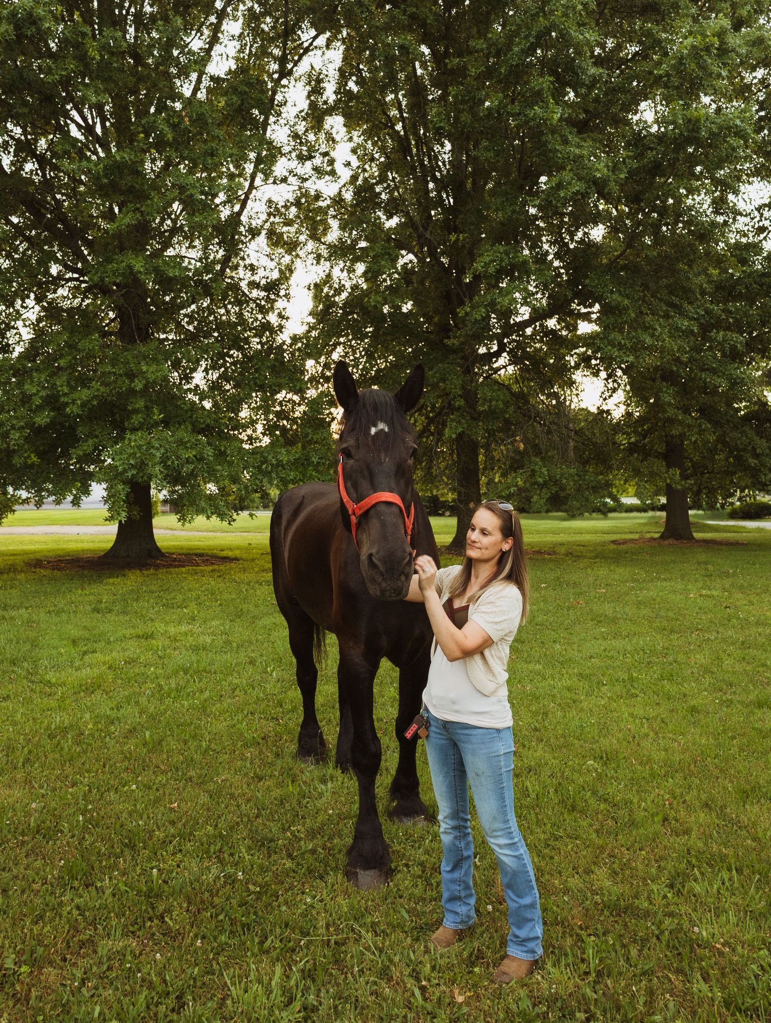 A young woman in jeans holds the reins of a large black horse with a red halter in a lush green park.