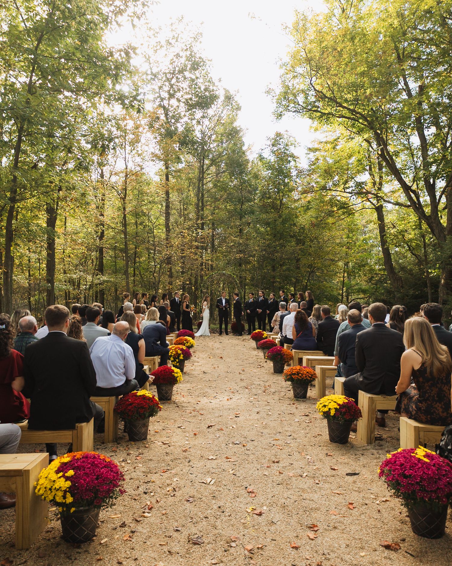 An outdoor autumn wedding ceremony setup with wooden benches and colorful mums lining a tree-lined path.