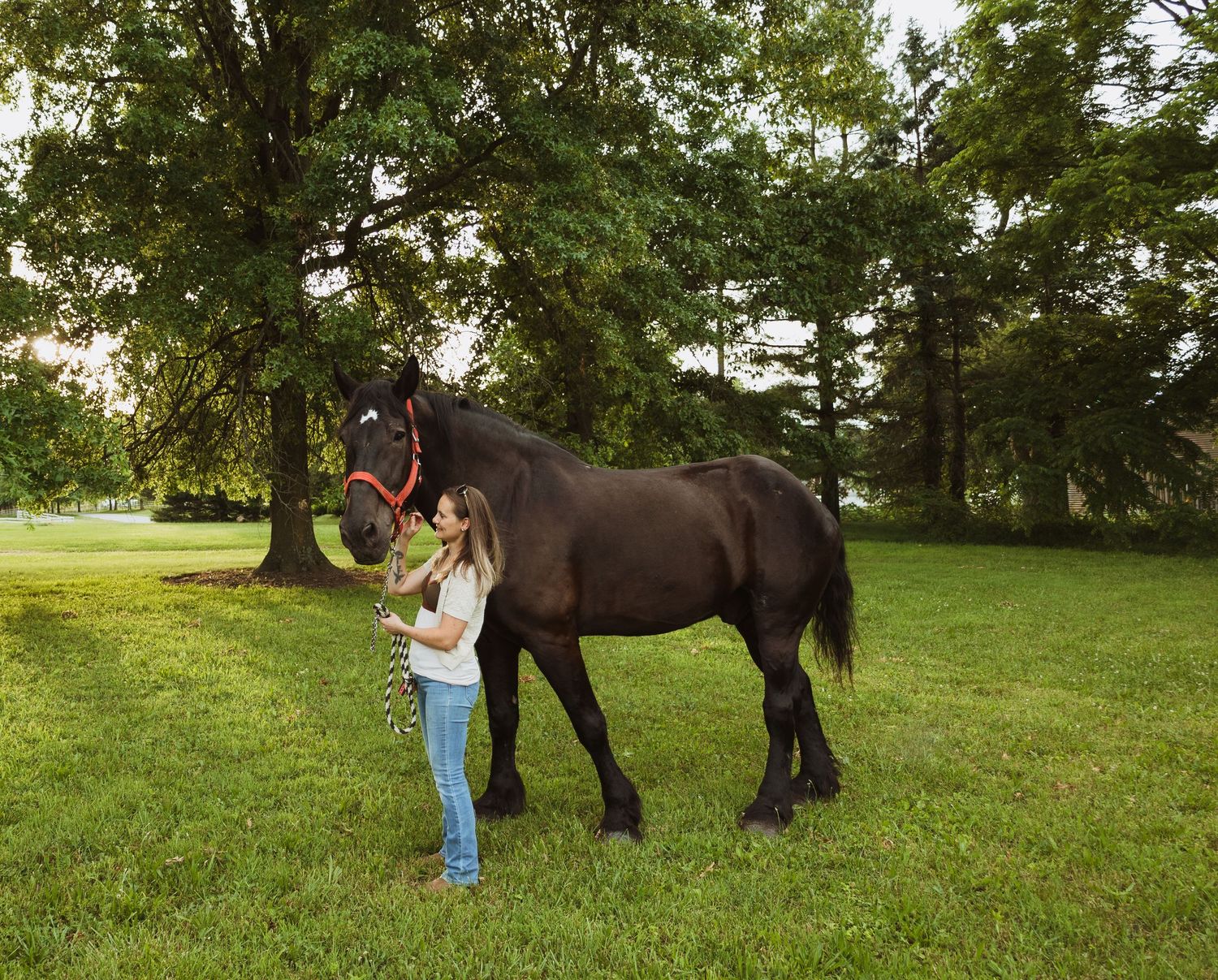 A young girl stands beside a large black horse with a red halter on a lush green lawn with trees in the background.