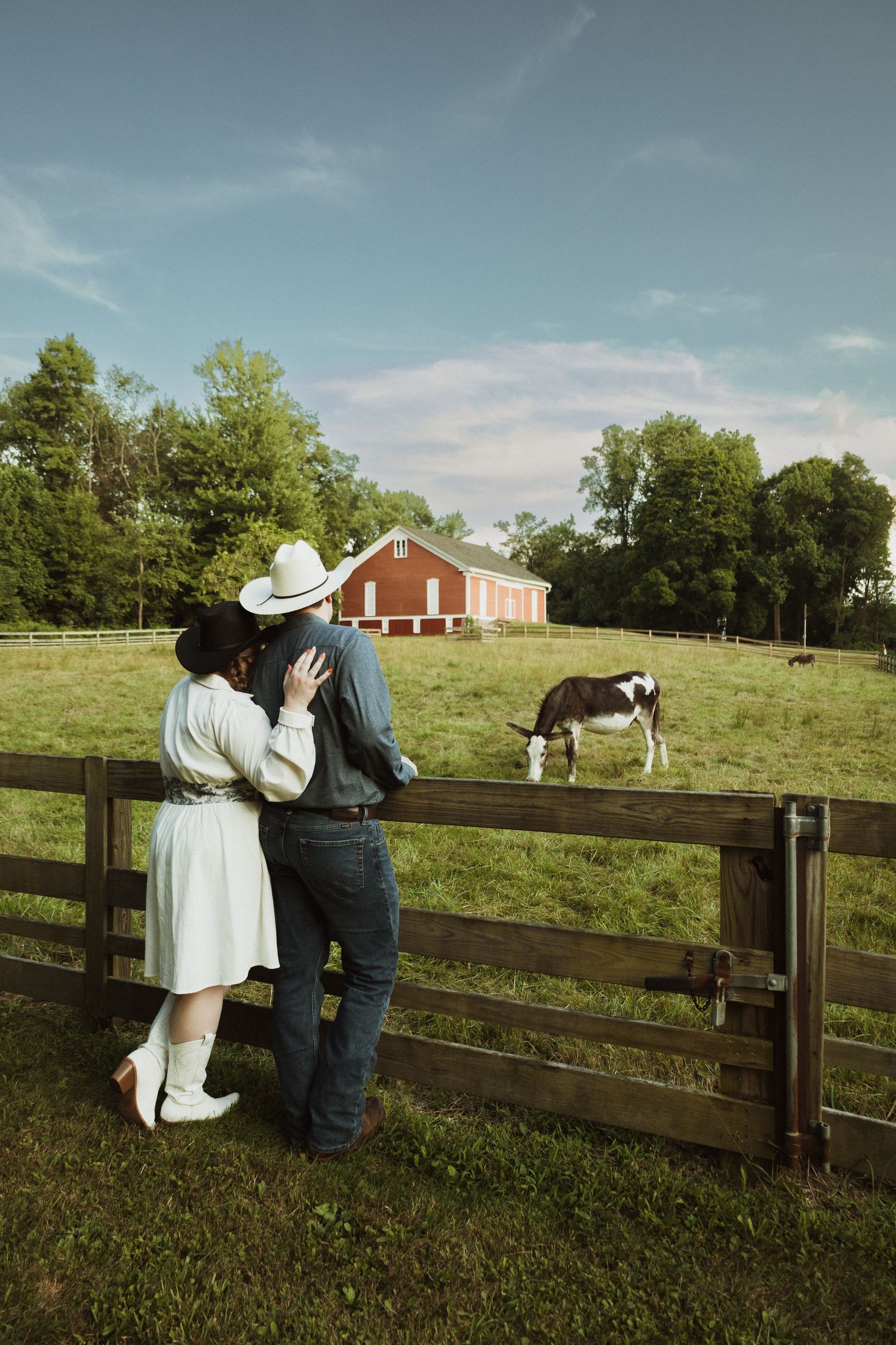 White fence stretches across a grassy hill with a red barn in the distance on a sunny afternoon.