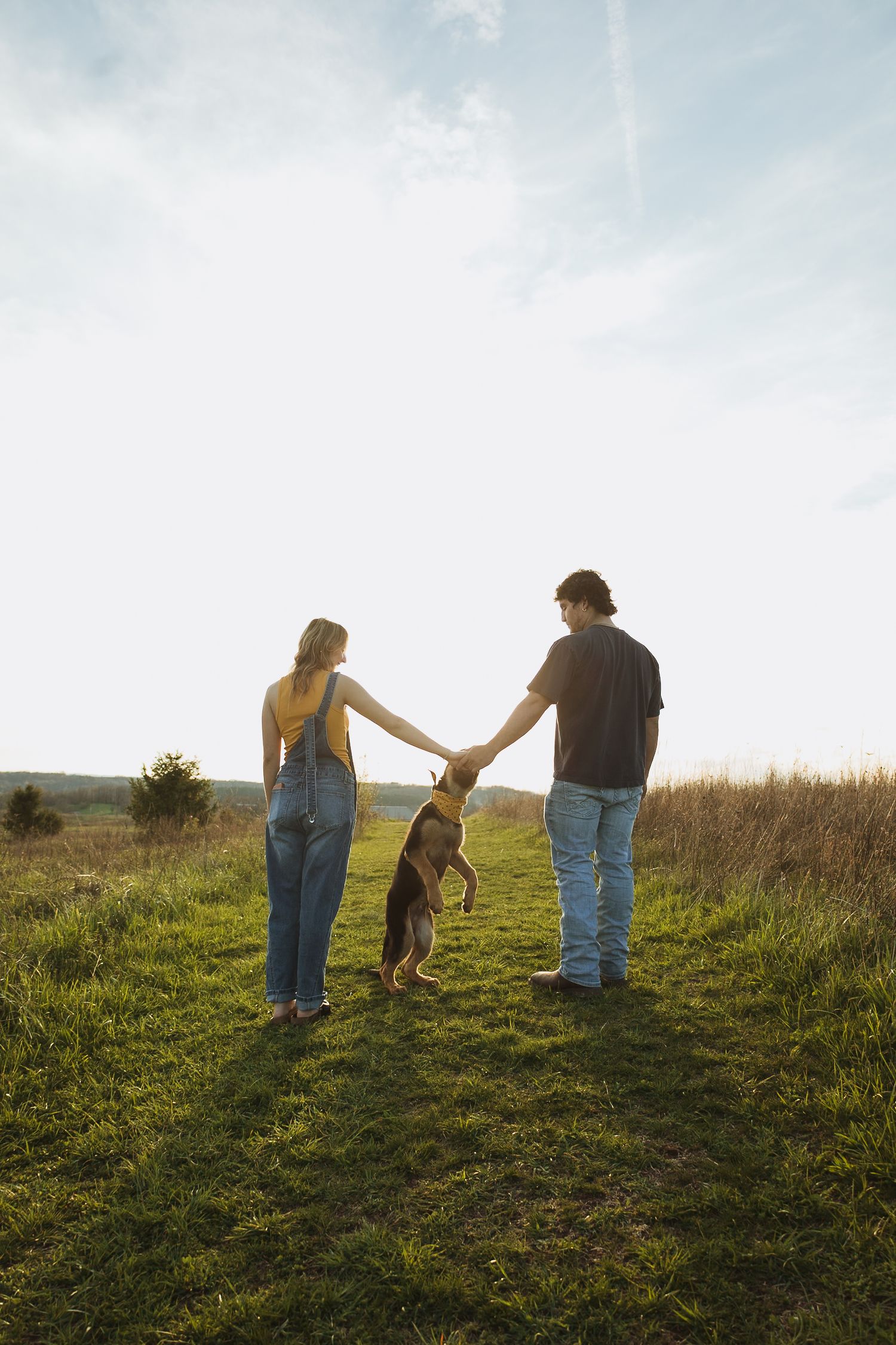 Couple holding hands with their dog in a grassy field at golden hour, viewed from behind.