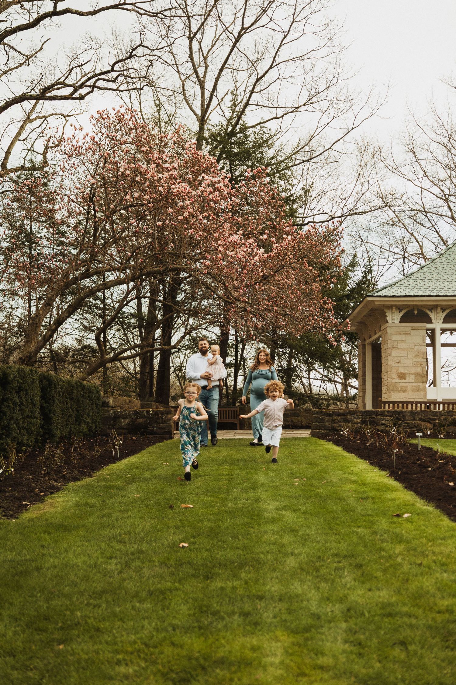 People enjoying a spring day under blooming cherry trees along a manicured garden path.