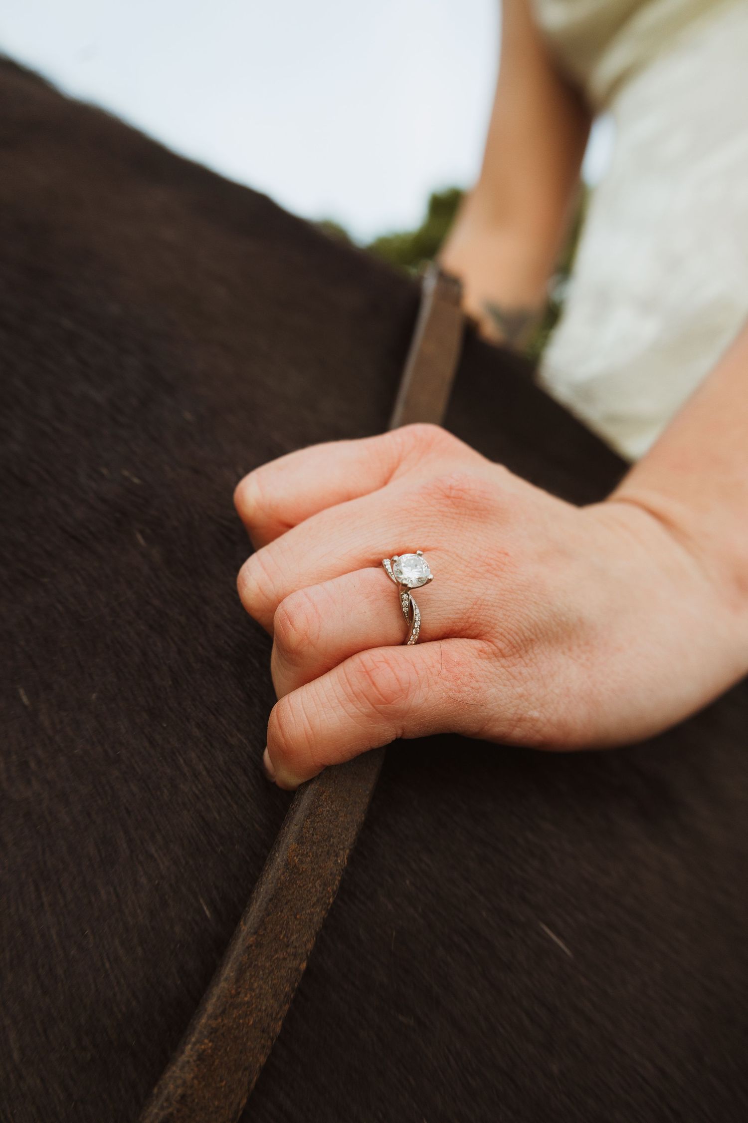 Close-up of a diamond solitaire engagement ring on a woman's hand resting on a dark horse's back.
