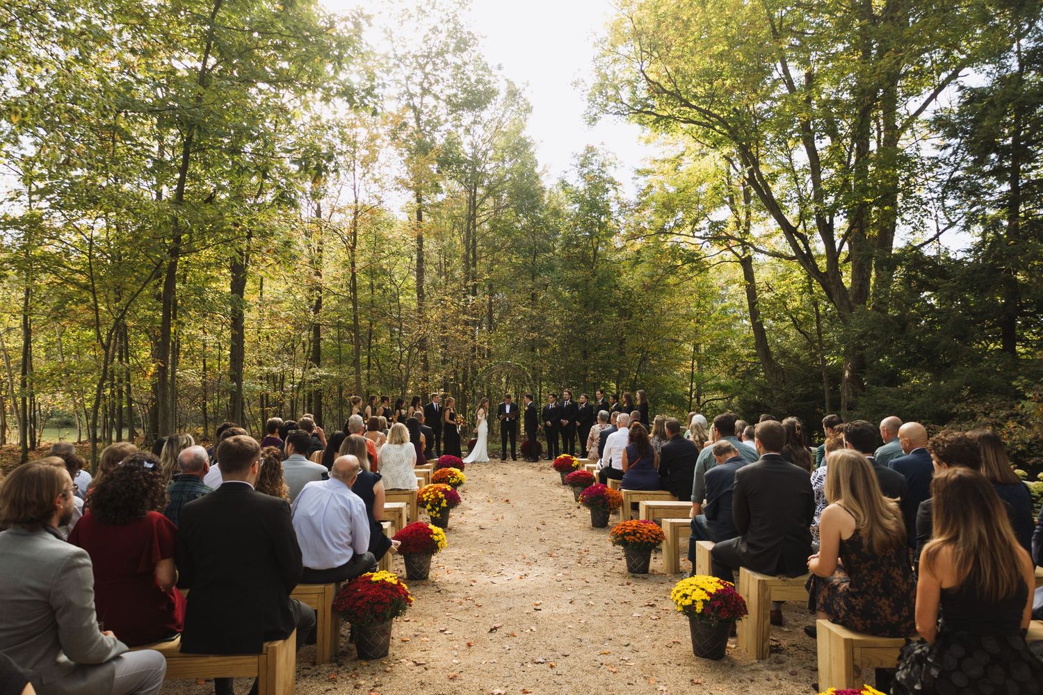 Outdoor wedding ceremony setup with wooden benches in a tree-lined path filled with guests.