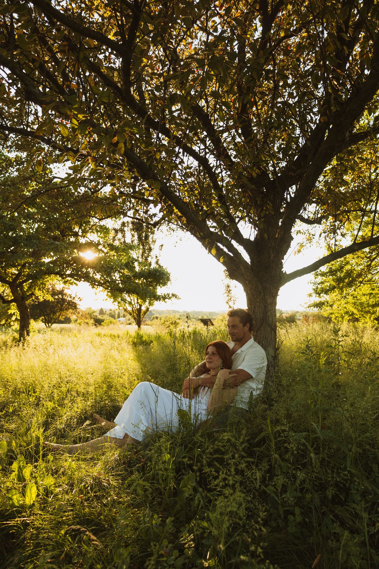 Couple sitting together under a large tree in a sunlit meadow, surrounded by lush green grass at golden hour.