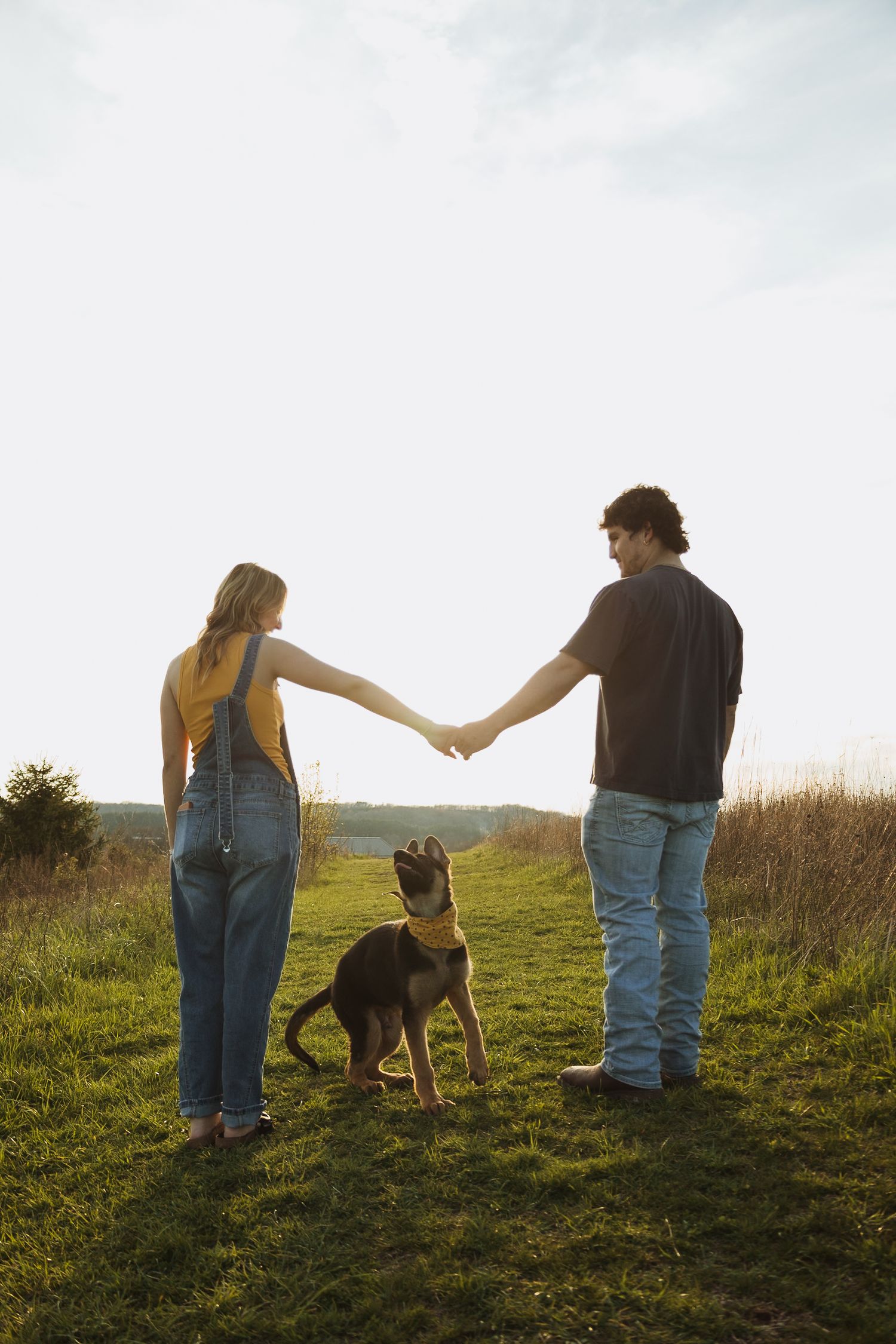 A couple holds hands while their German Shepherd dog sits between them on a grassy field at golden hour.