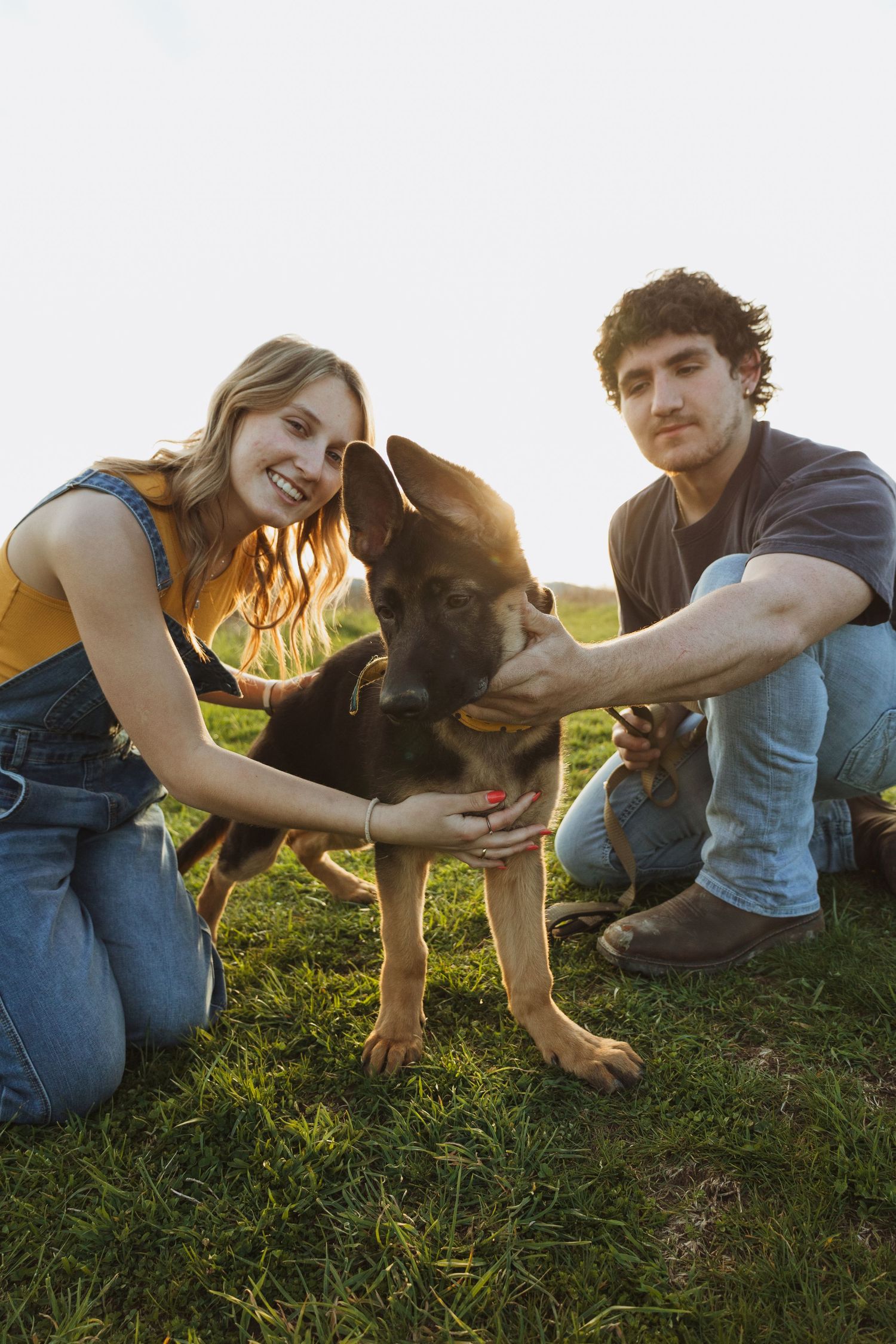 A smiling couple kneels on green grass petting a German Shepherd puppy at sunset.