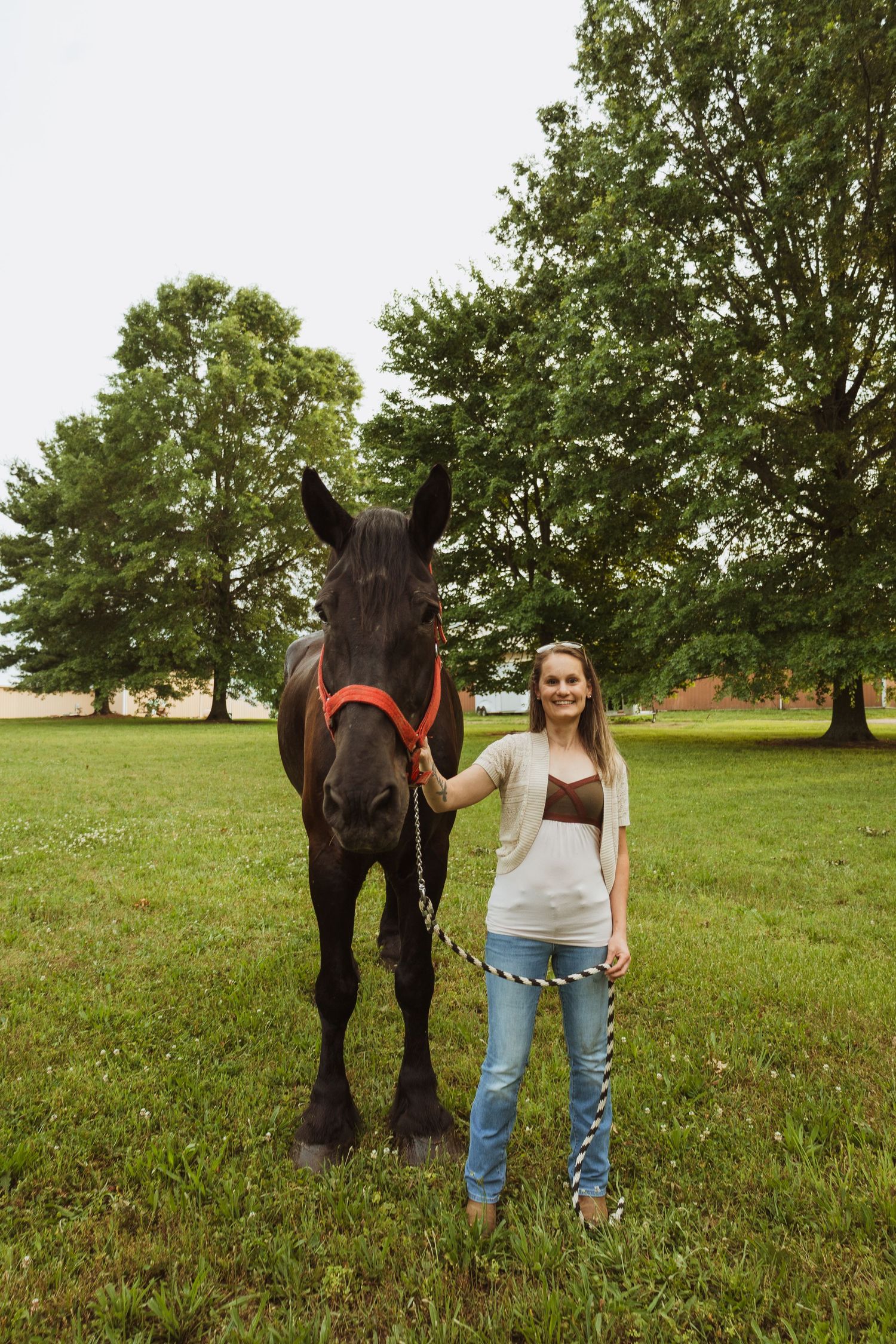 Young woman in jeans holding lead rope of dark brown horse with red halter on green grass field.