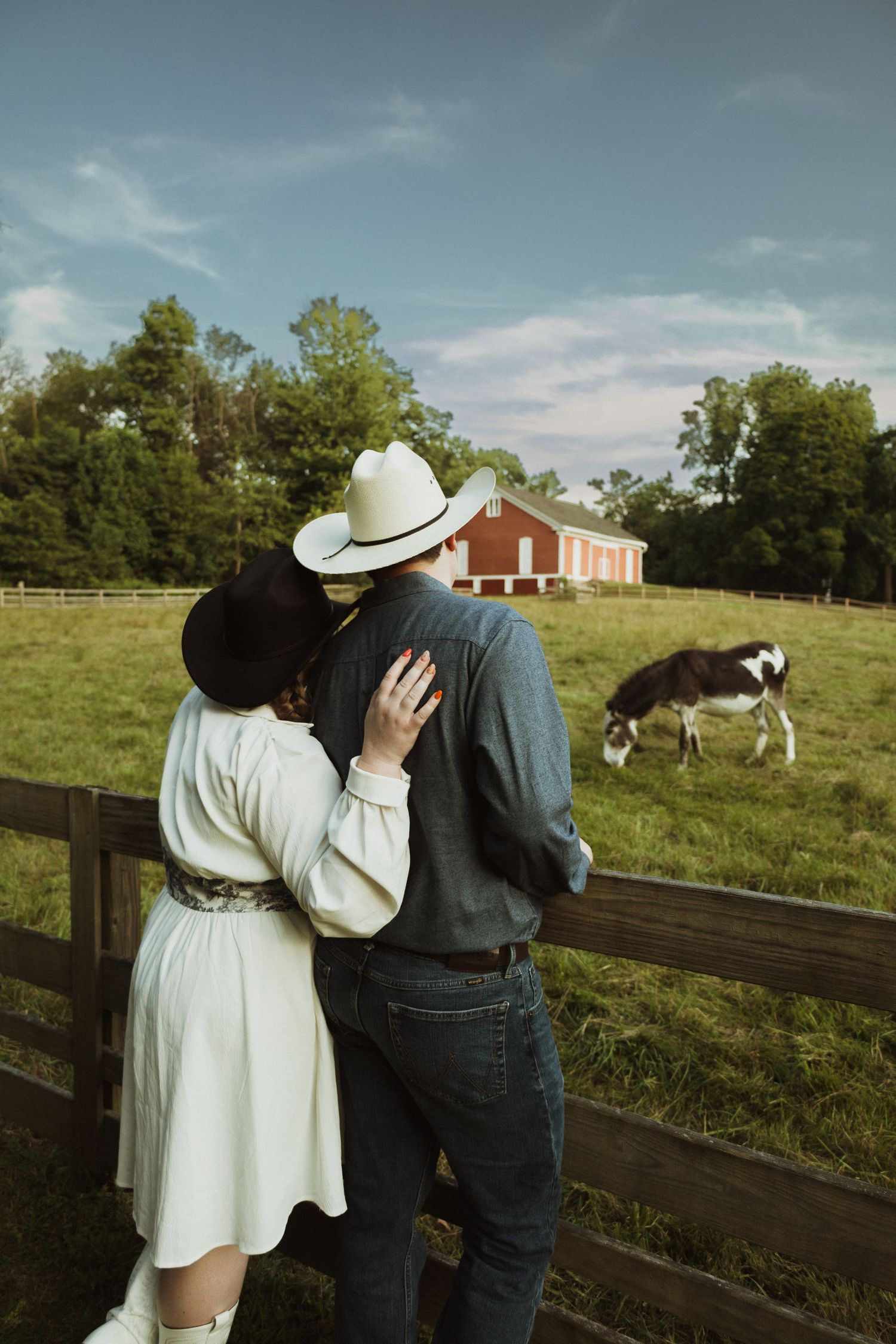 A romantic outdoor photoshoot with a couple by a wooden fence on a farm with cows grazing in the background.