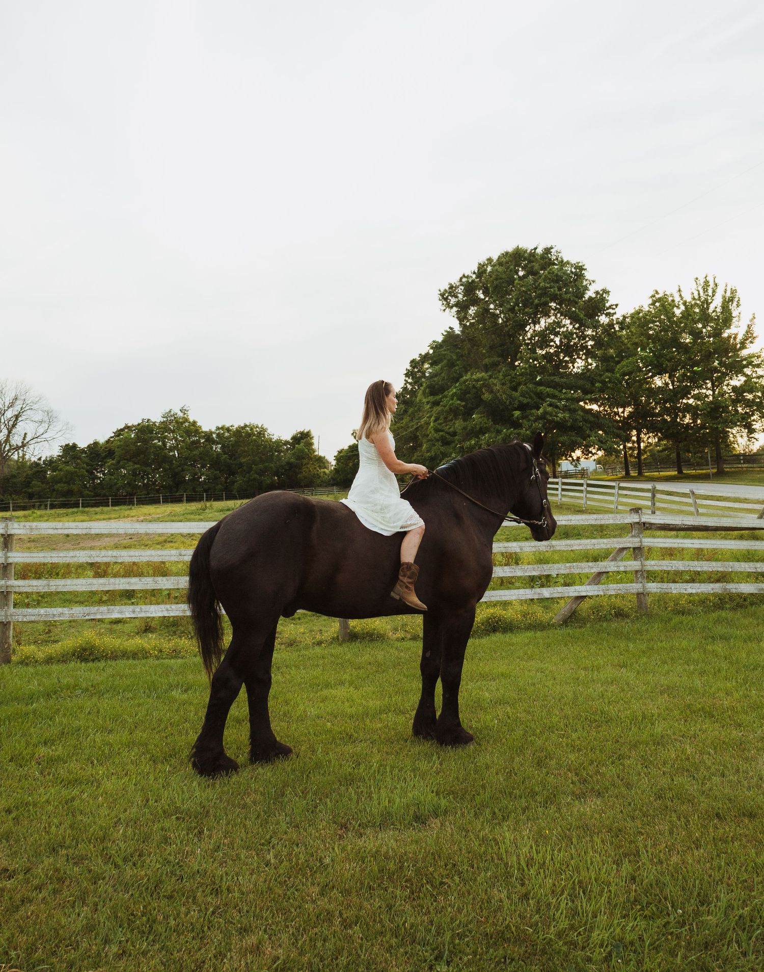 A girl in a white dress rides a dark brown horse in a fenced green pasture with trees in the background.