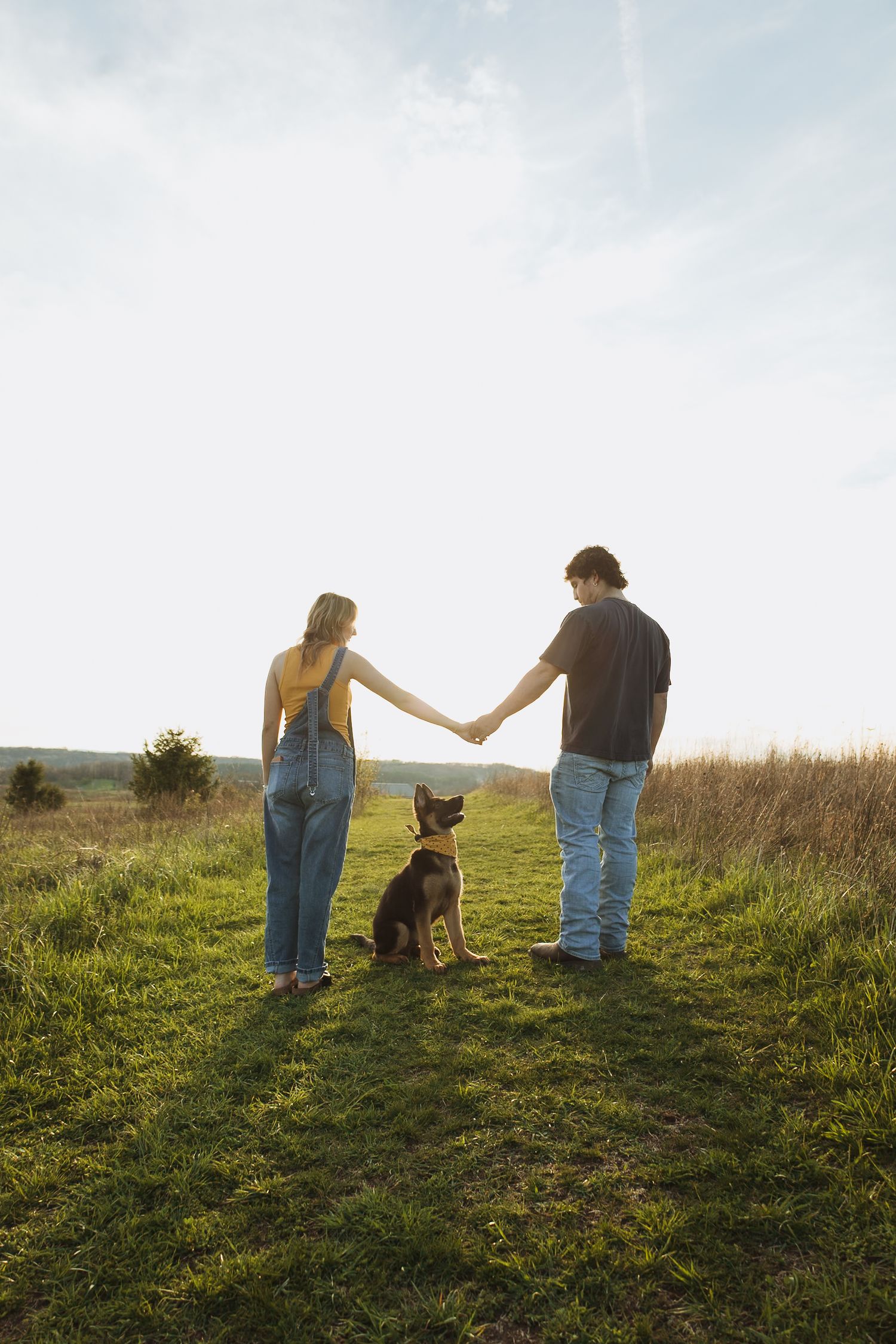 Couple holding hands in a sunny field with their German Shepherd dog sitting between them on green grass.