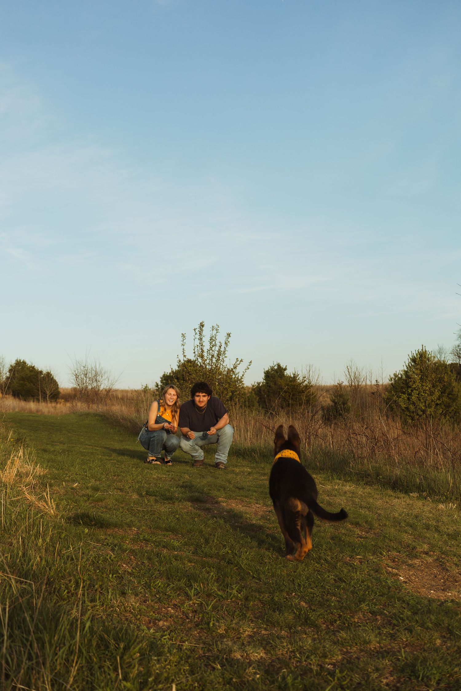 Couple crouching in a grassy field playing with their black and tan dog at golden hour.
